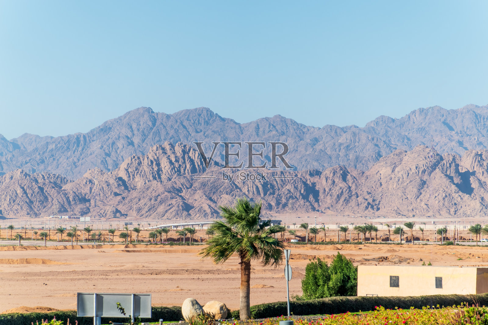 埃及沙姆沙伊赫附近沙漠中的山脉。西奈摩西山全景图。照片摄影图片