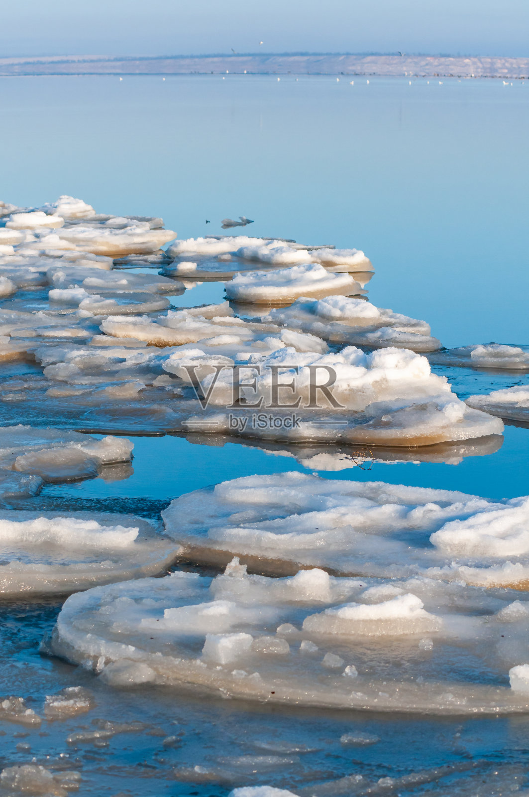 在一个阳光明媚的日子里，蒂里古尔河口下游的岸边附近的冰块照片摄影图片