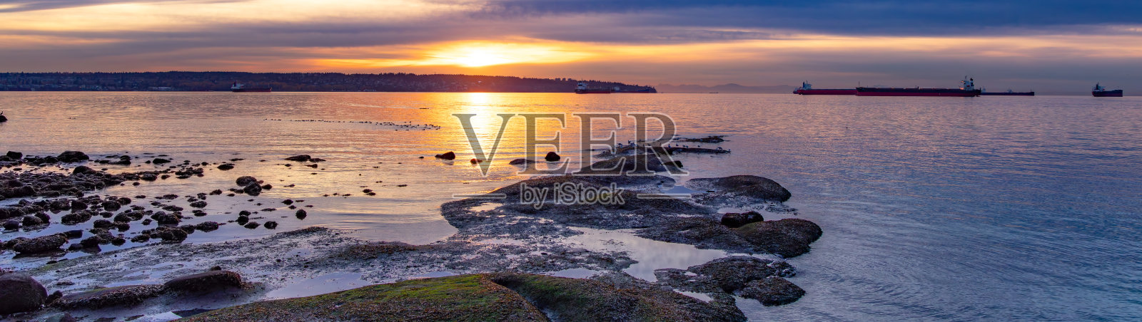 加拿大温哥华市中心斯坦利公园海堤的岩石海岸照片摄影图片