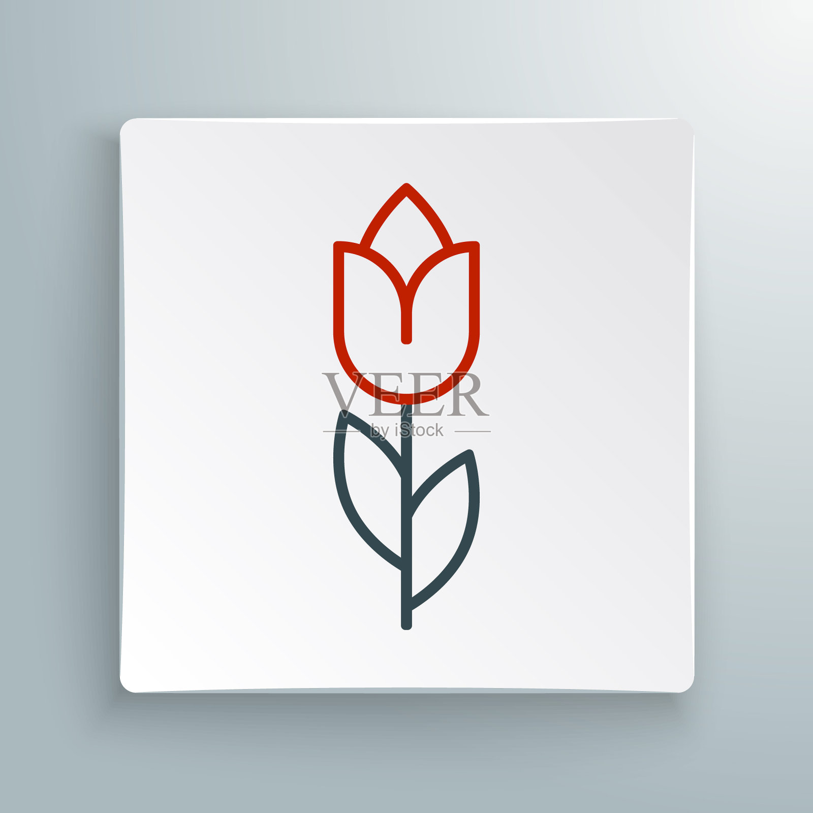 线花郁金香图标孤立的白色背景。3月8日。妇女节快乐。色彩缤纷的轮廓概念。向量插画图片素材