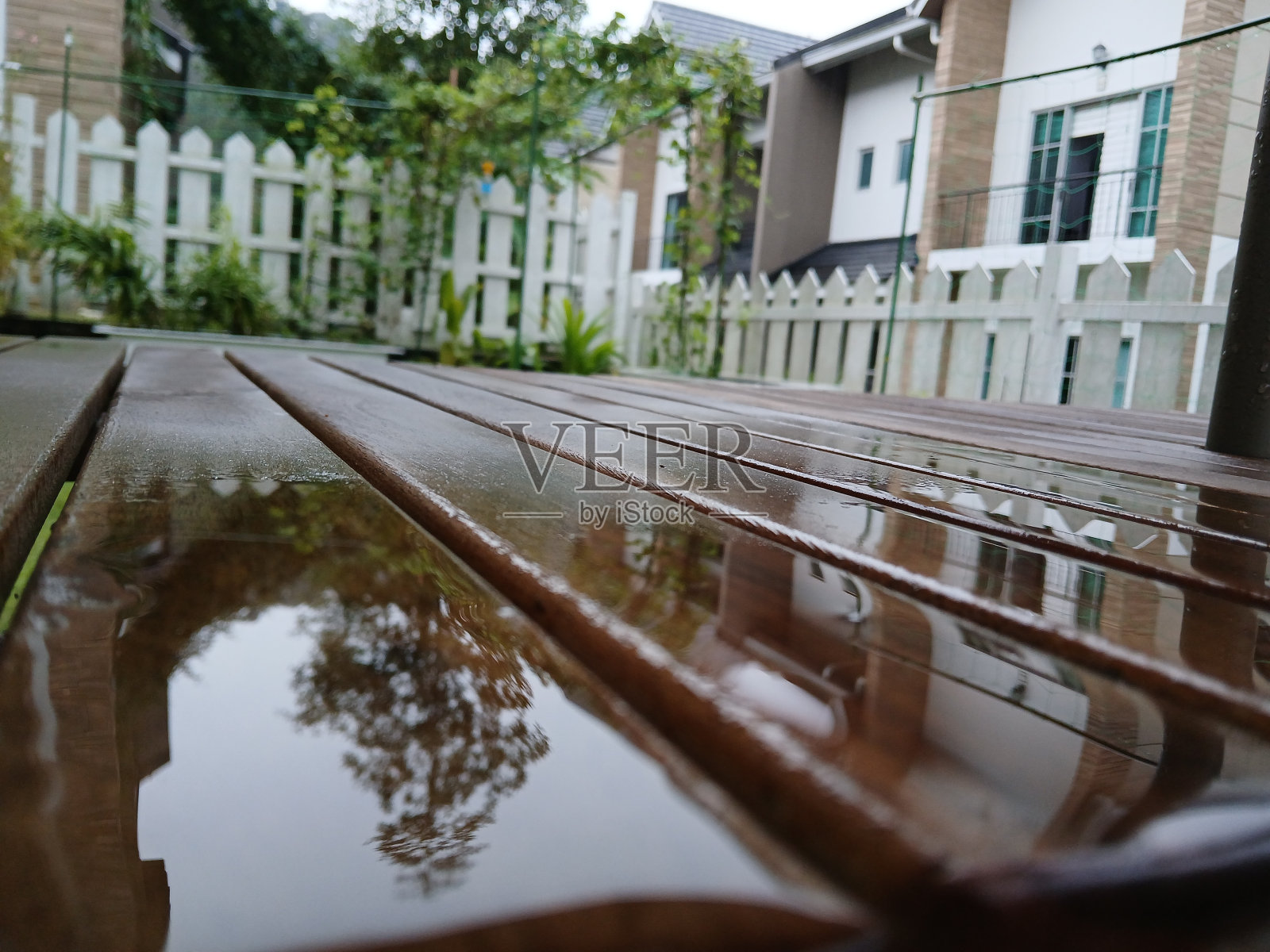 首页。照片摄影图片