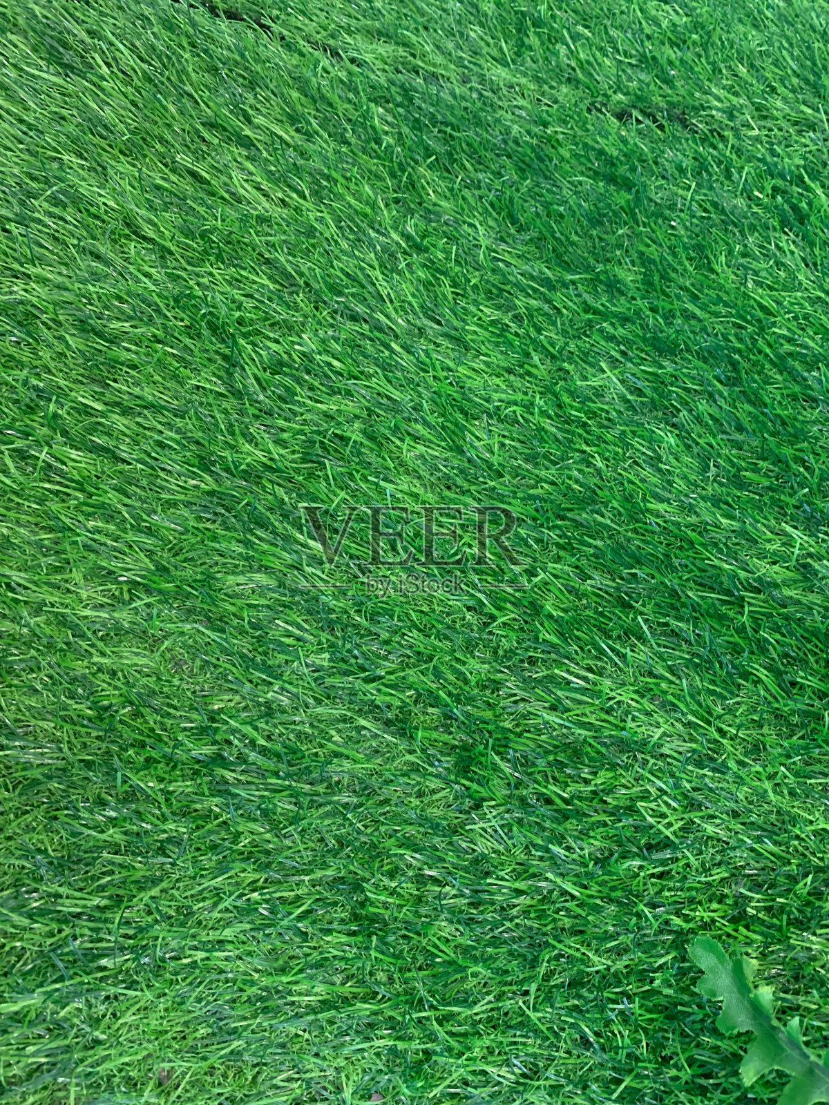 生机勃勃的绿草微距拍摄垂直拍摄。照片摄影图片