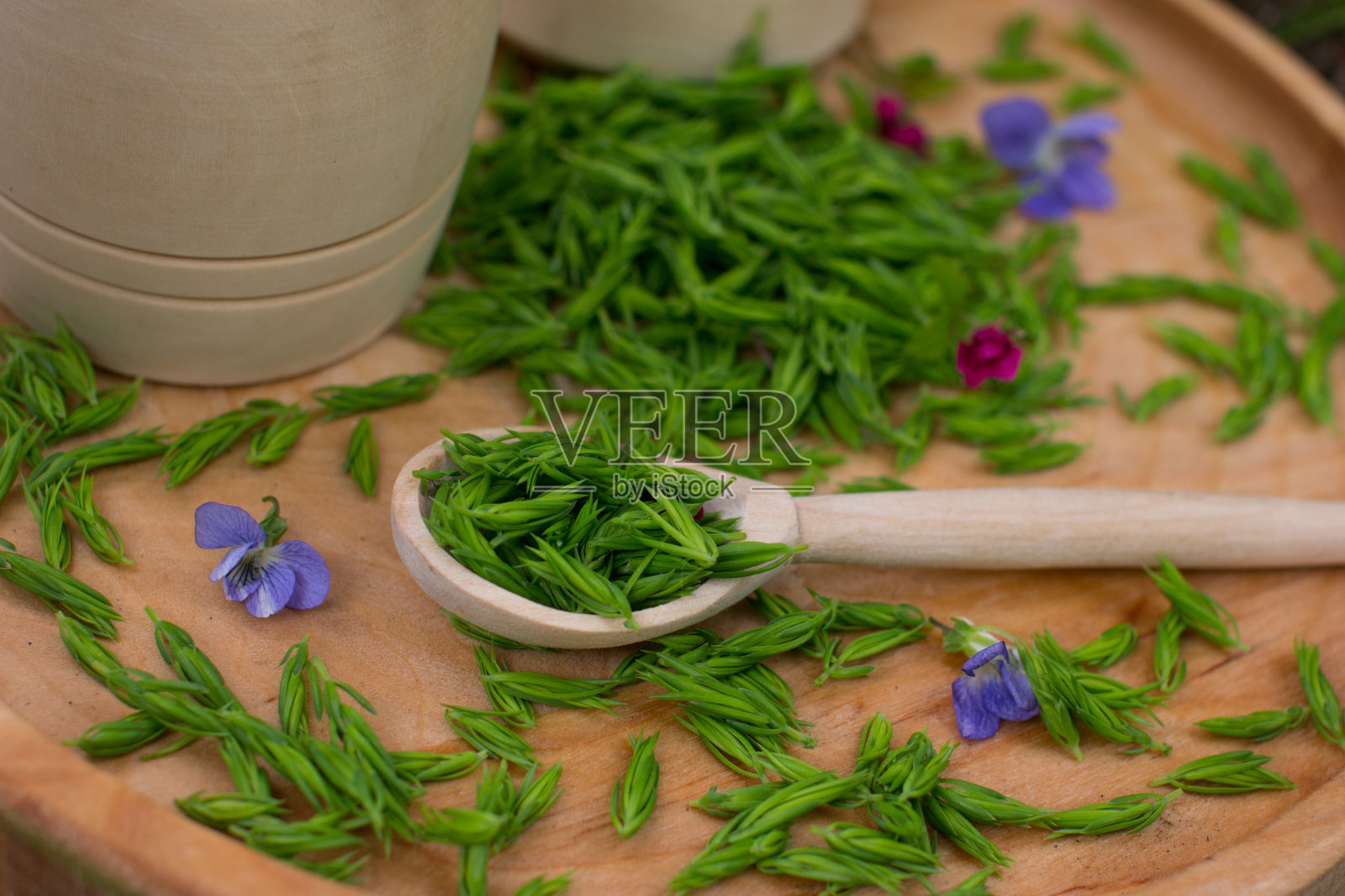 柳条篮子里的杜松苗。中药煎剂的制备照片摄影图片