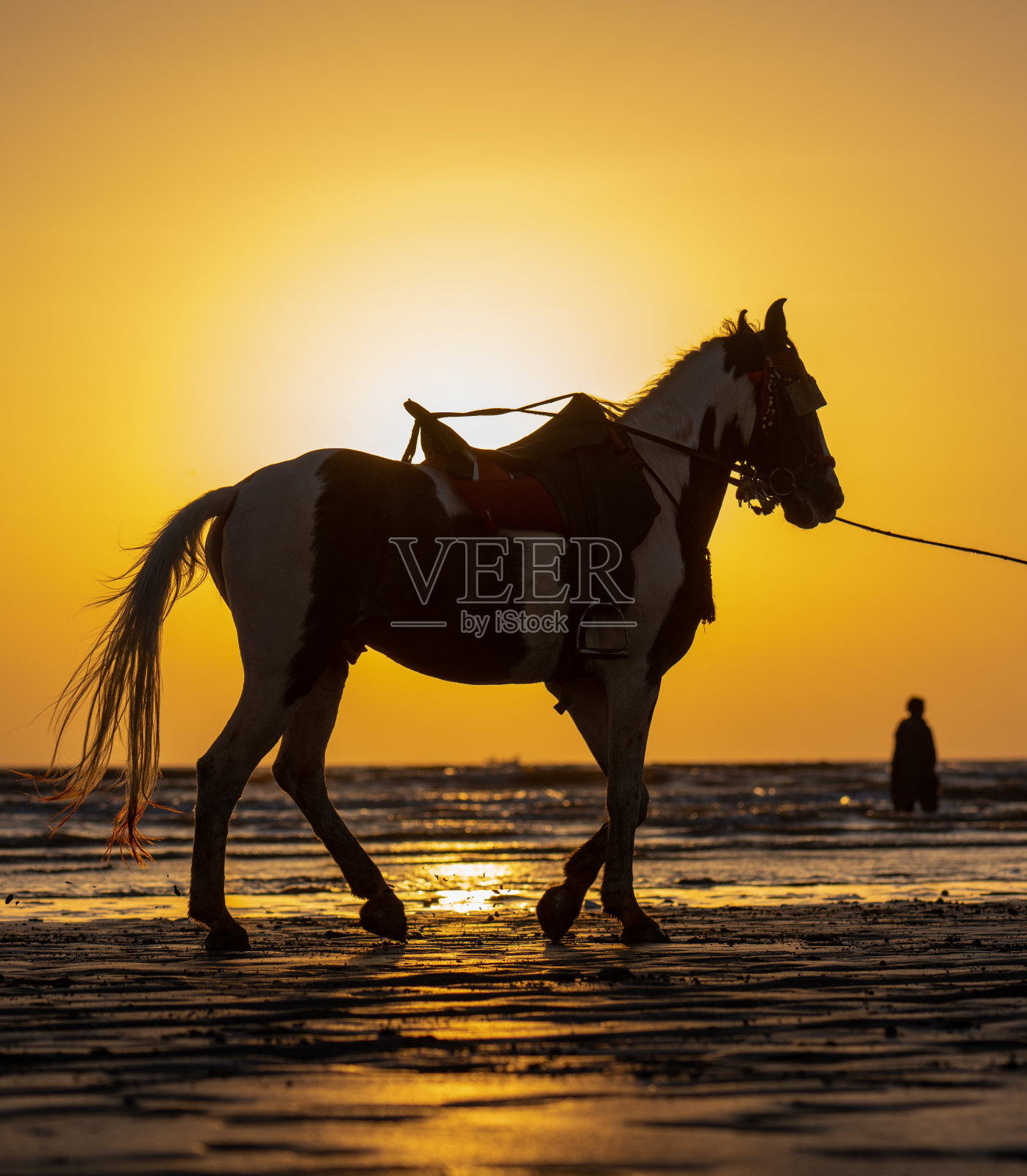 海洋、太阳和海岸照片摄影图片