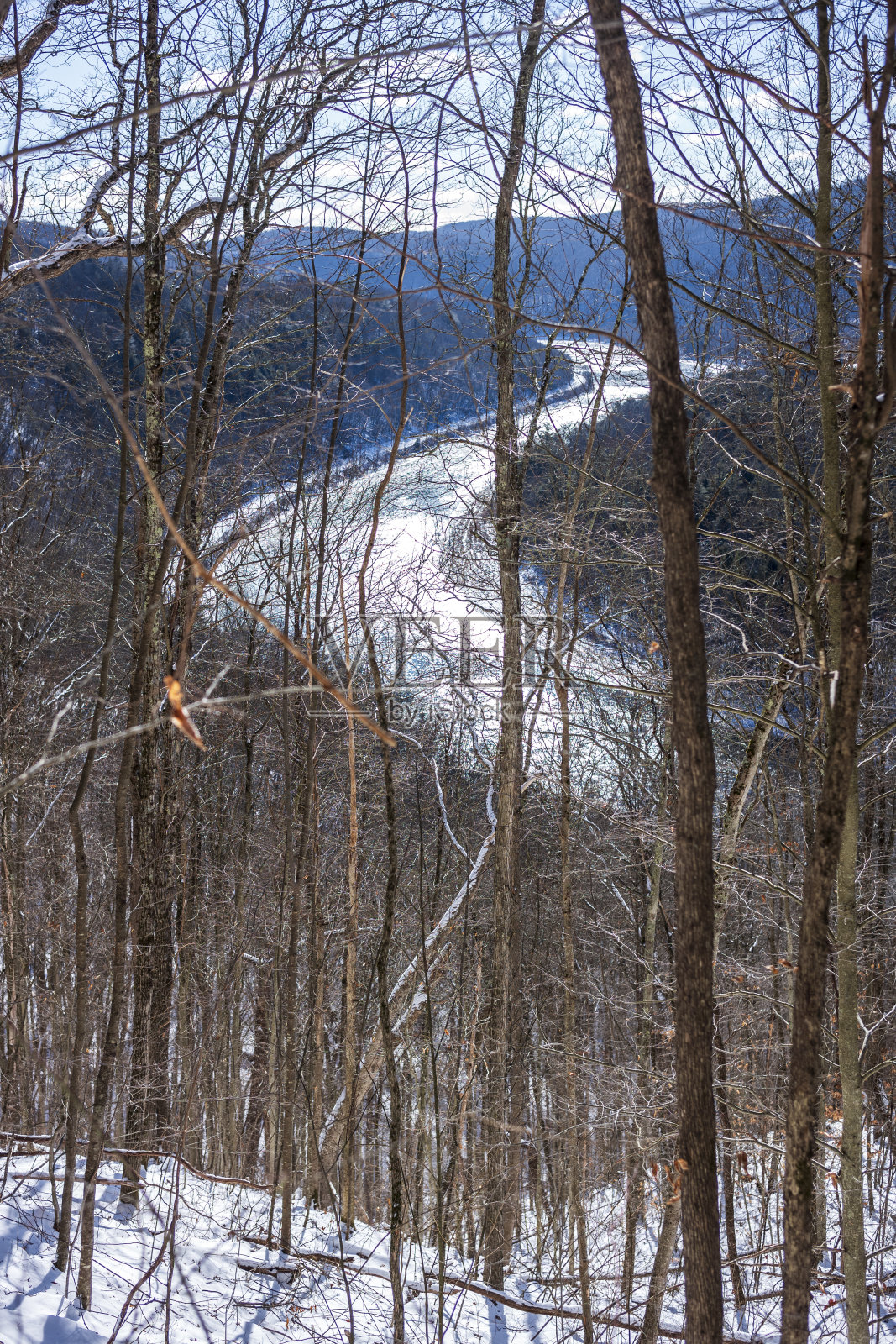 冬季在纽约州汉考克森林保护区沿着Bouchoux小径徒步旅行照片摄影图片