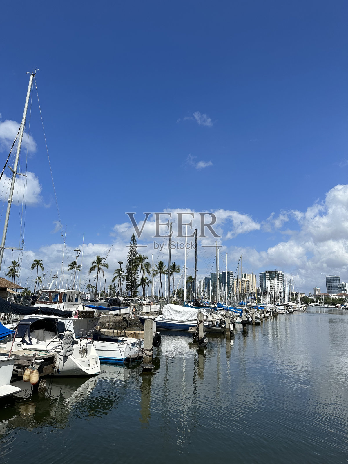 美丽的游艇在码头在夏威夷。照片摄影图片