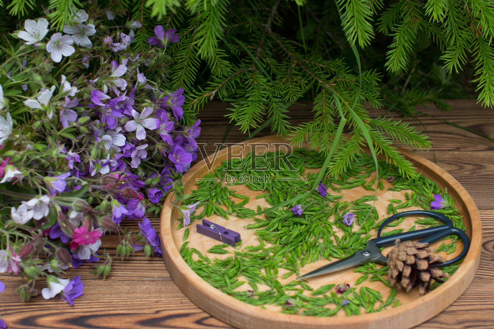 柳条篮子里的杜松苗。中药煎剂的制备照片摄影图片