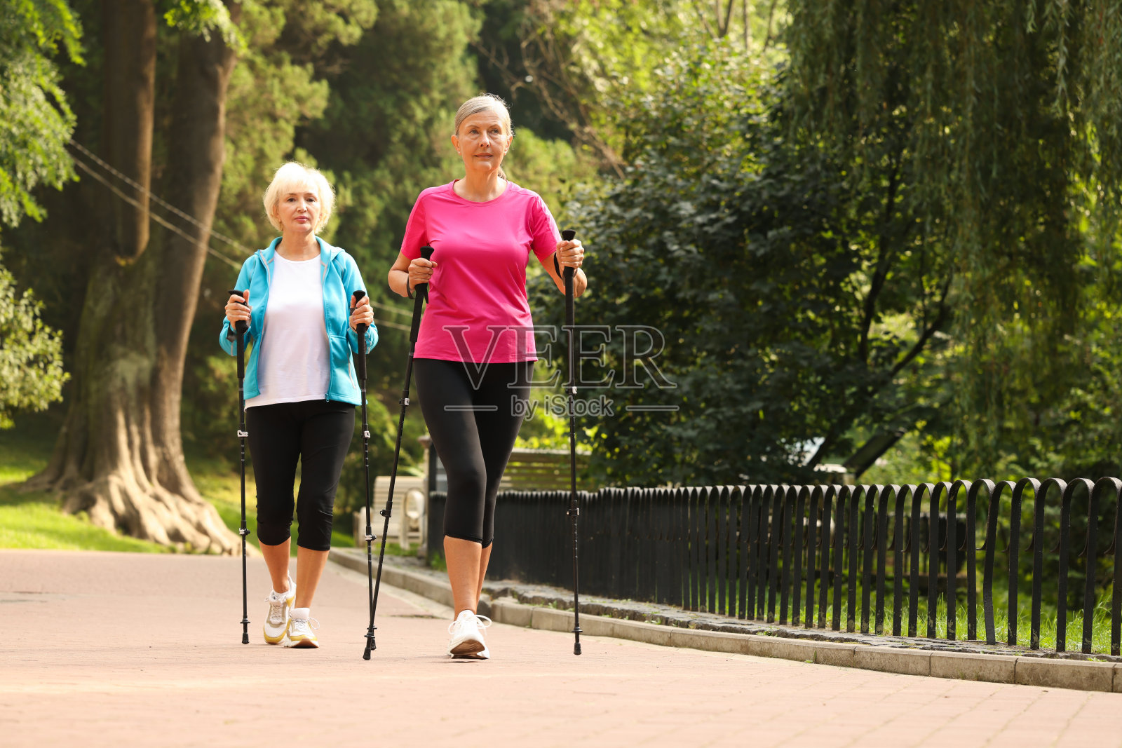 两个高年级的朋友在户外表演北欧散步，为文字留出空间。低角度视图照片摄影图片