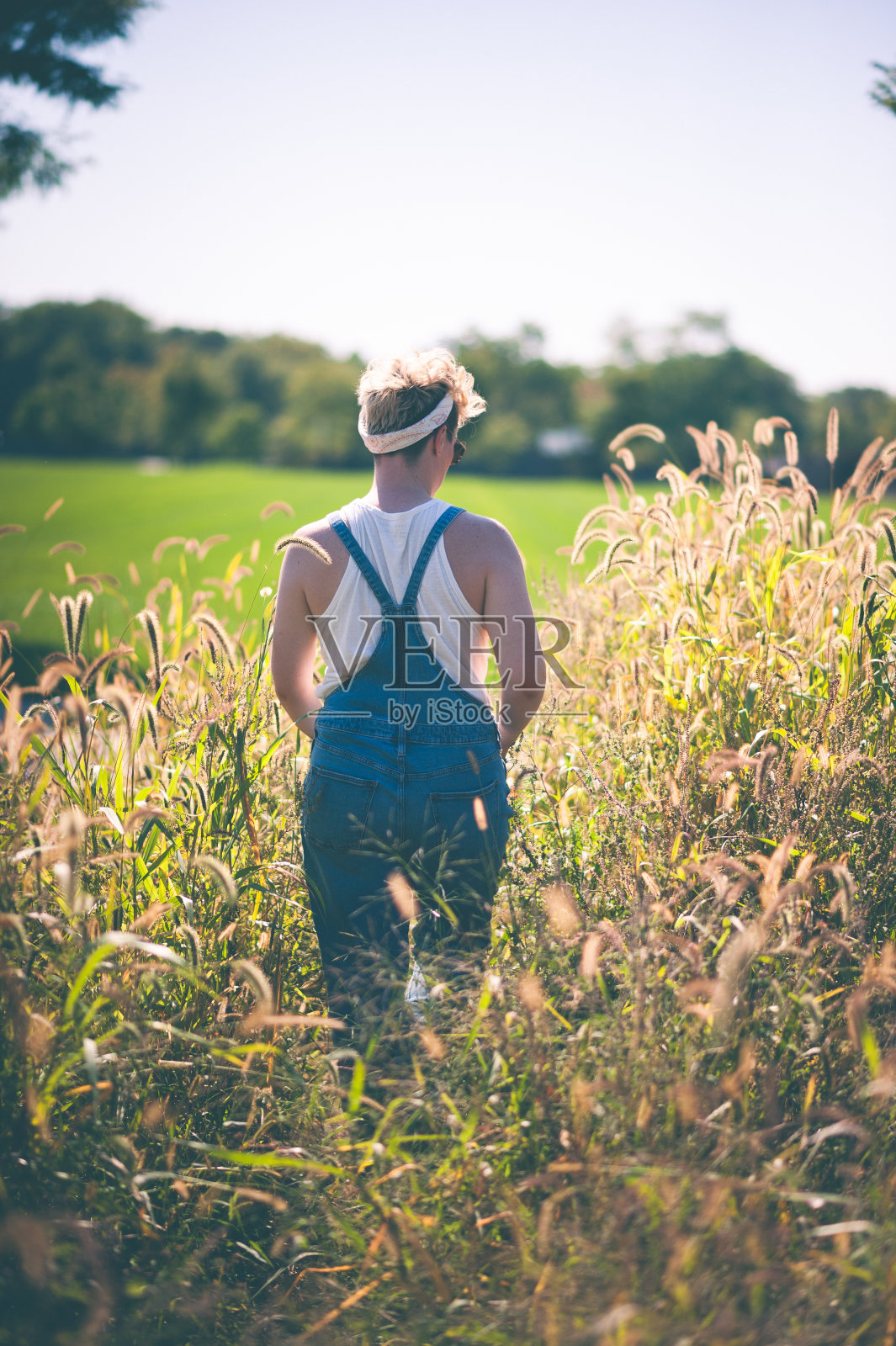 漫步在花园里照片摄影图片