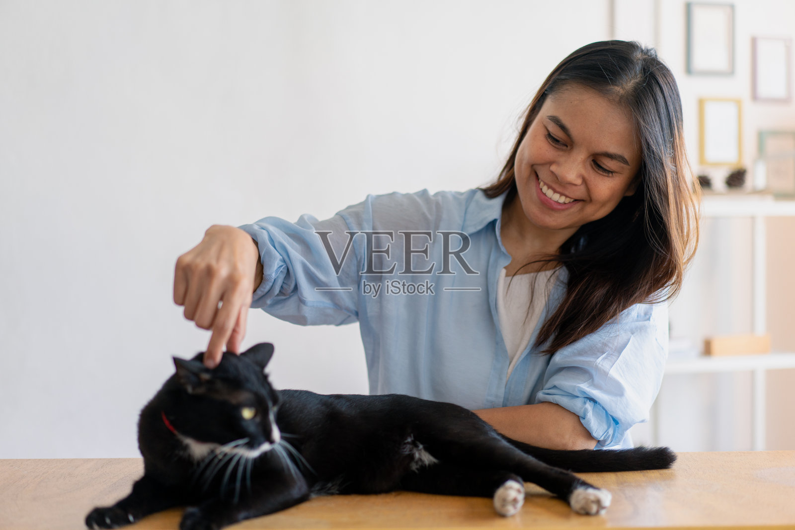 秋天的一天，快乐健康的女人坐在客厅里和可爱的猫玩耍，友谊和对宠物的爱。照片摄影图片