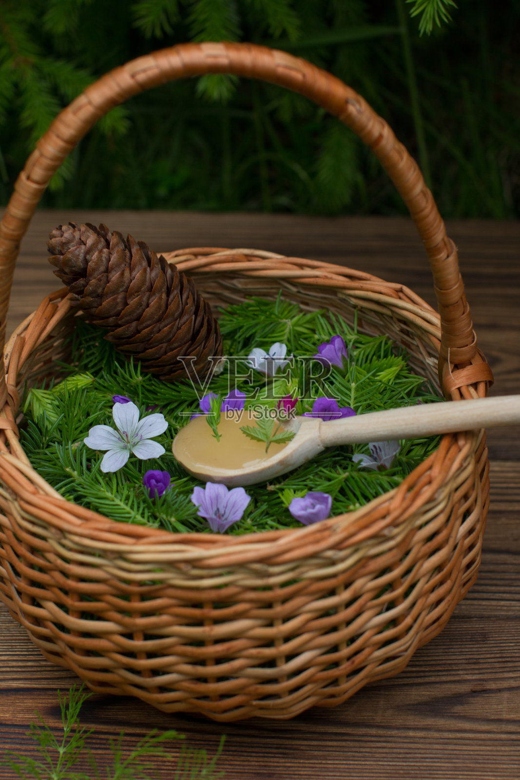 幼芽被吃掉，收集在柳条篮子里。中药煎剂的制备照片摄影图片