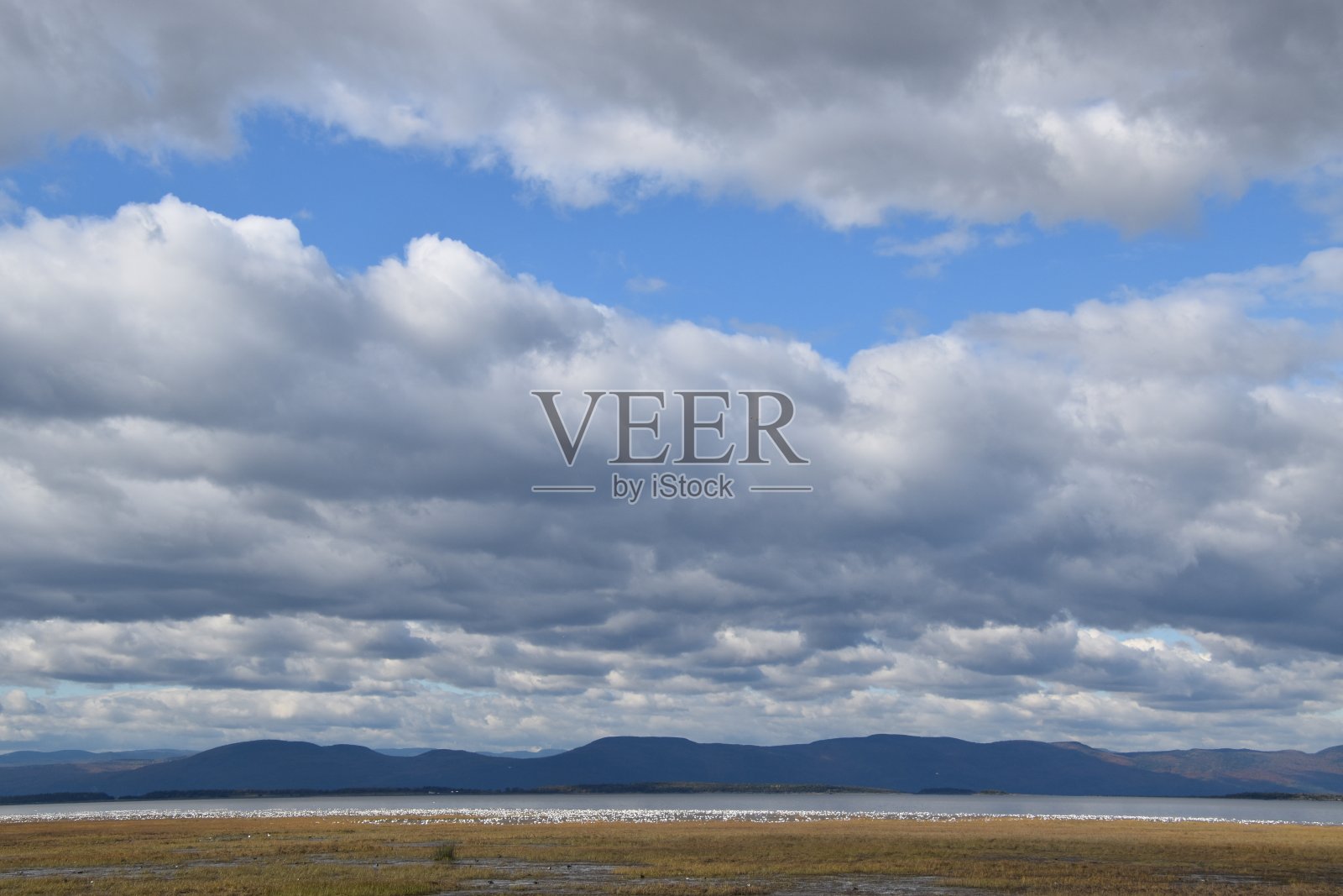 Sur le fleuve照片摄影图片