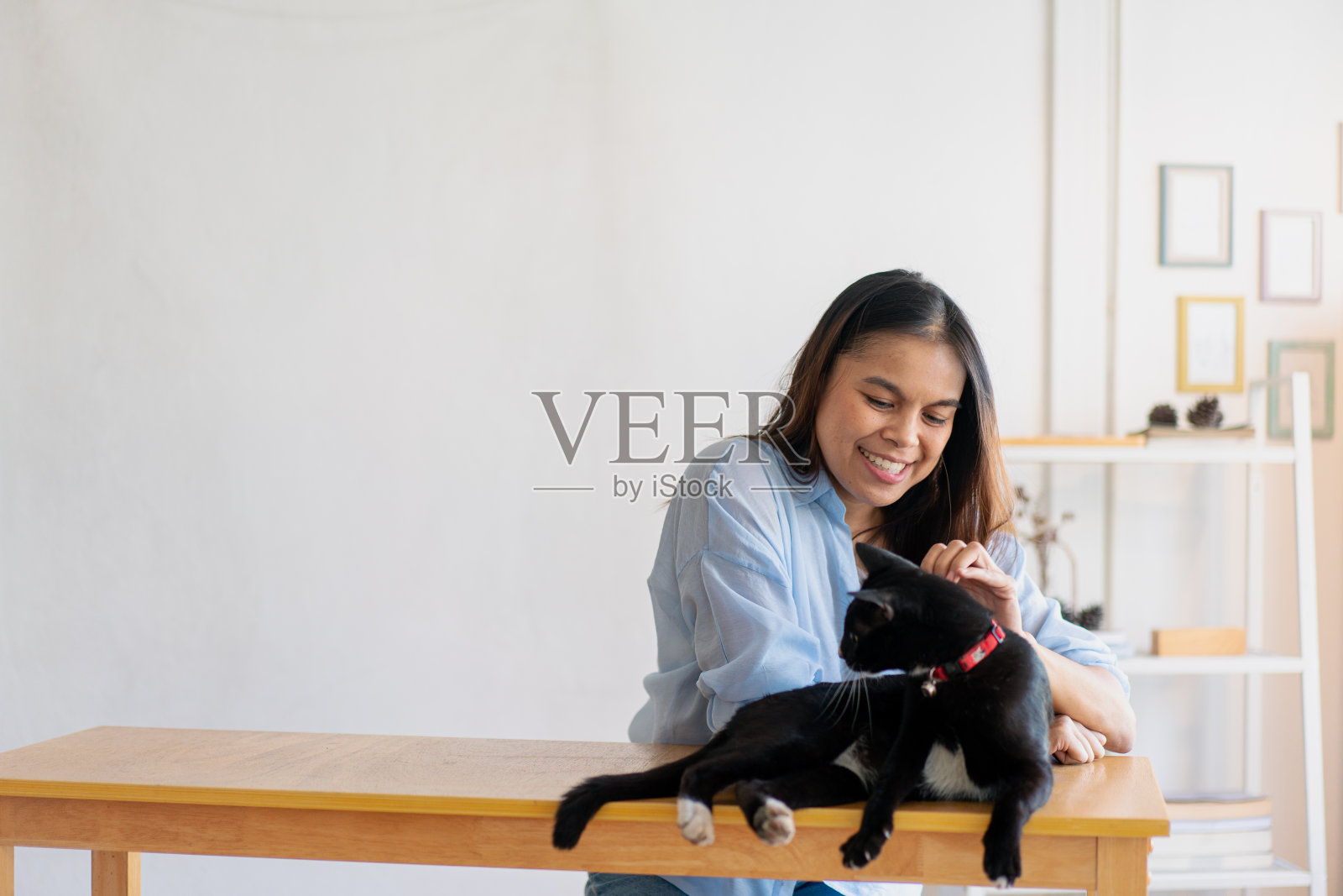 秋天的一天，快乐健康的女人坐在客厅里和可爱的猫玩耍，友谊和对宠物的爱。照片摄影图片