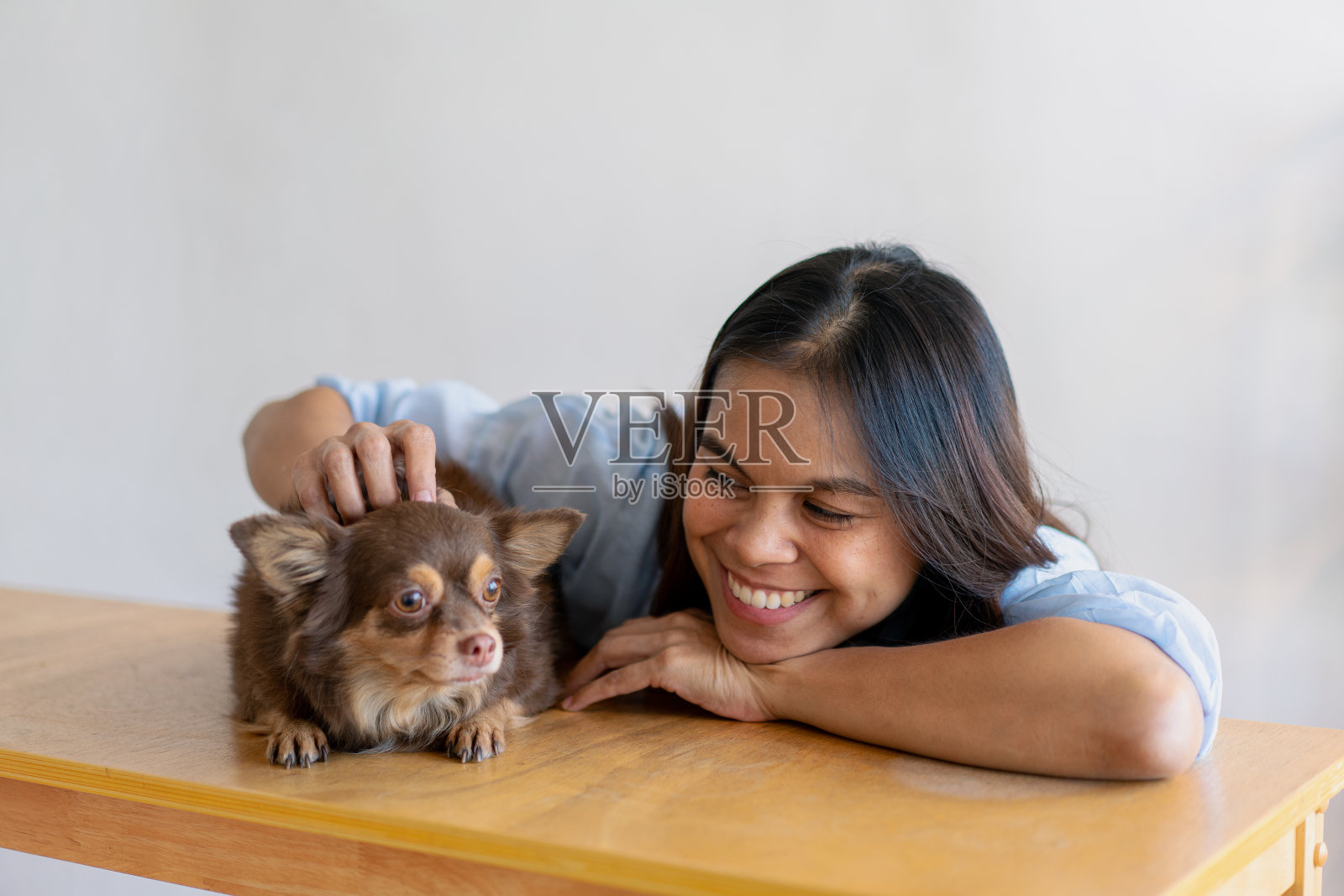 秋天的一天，快乐健康的女人坐在客厅里和可爱的狗狗玩耍，友谊和对宠物的爱。照片摄影图片