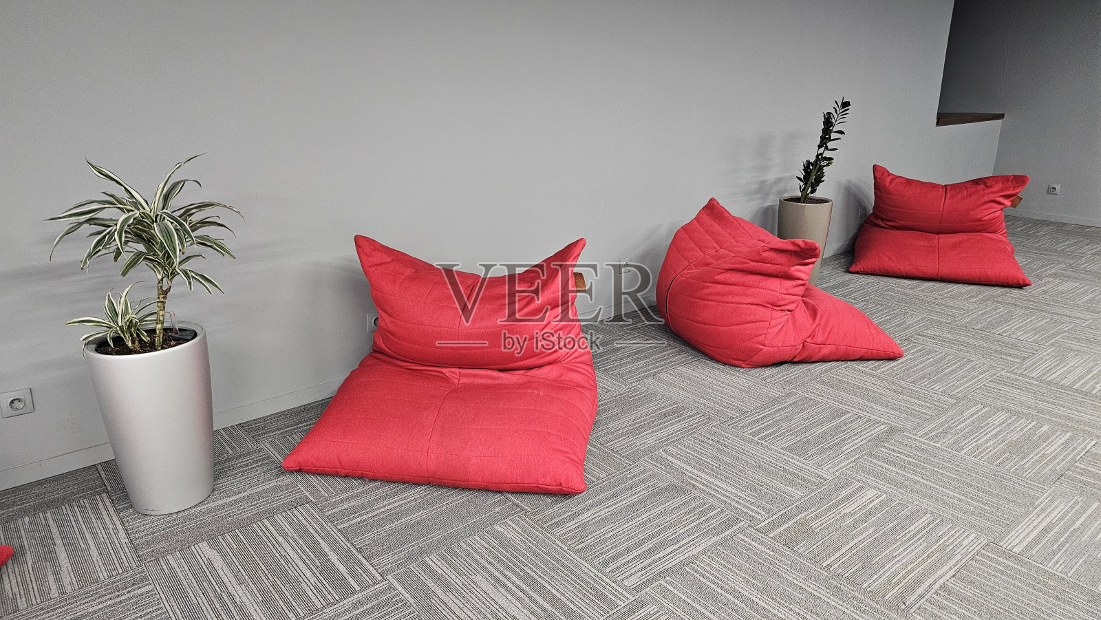 大厅里的坐垫和鲜花花瓶照片摄影图片