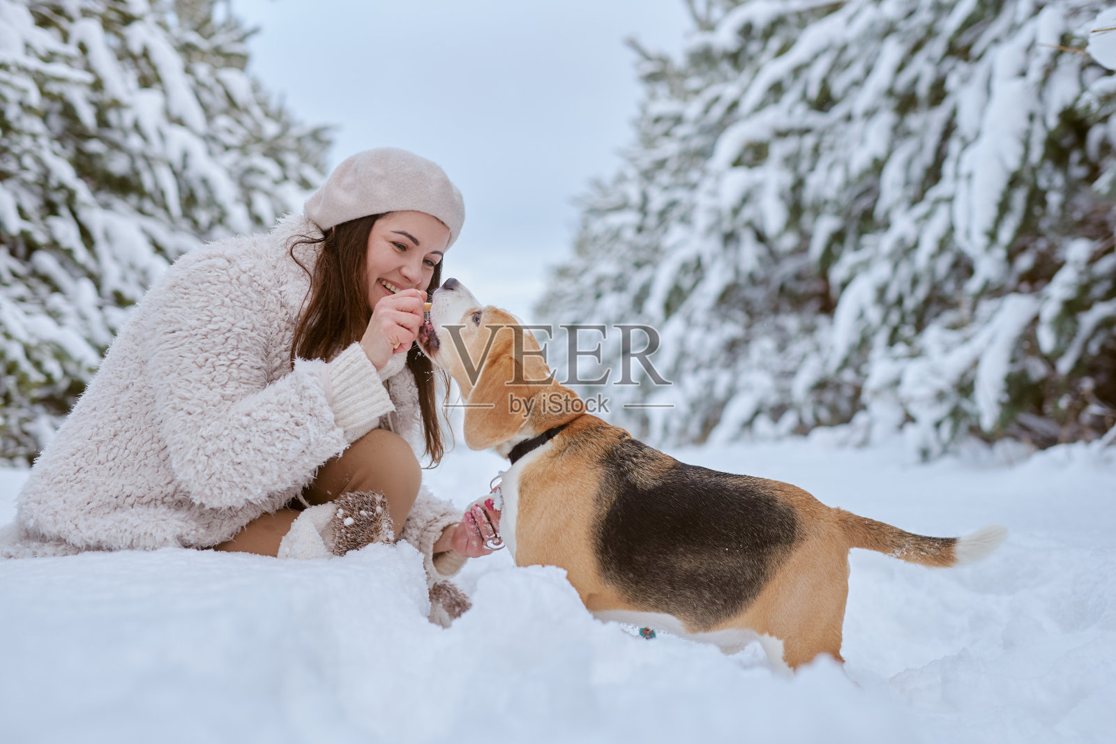 穿着冬衣的女孩在冬天的雪地里和小猎犬狗玩耍，寒假概念照片摄影图片