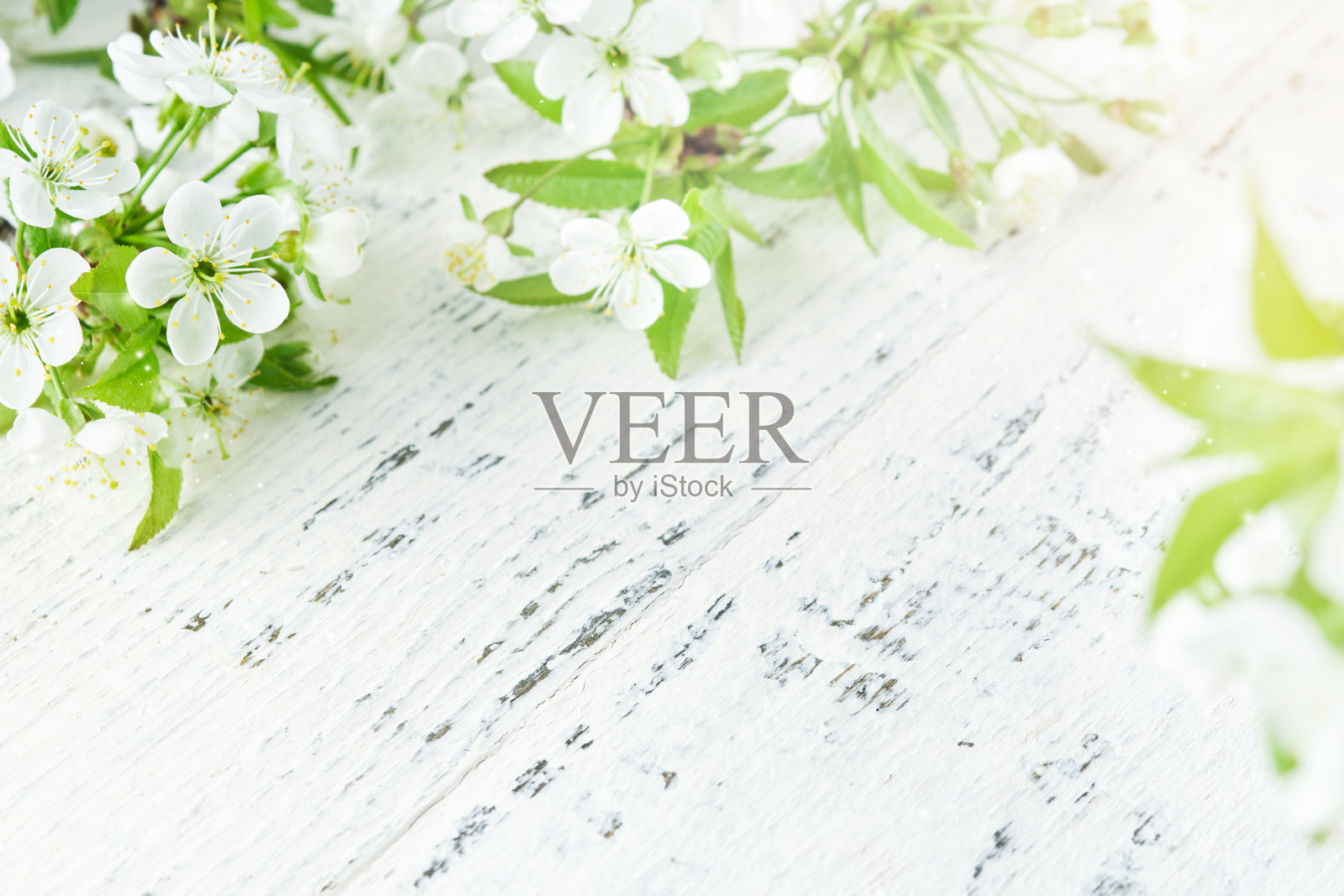 春天的背景与白色的苹果或樱花和木制背景。复活节或逾越节春季贺卡与复制空间。自然植物景观，生态，新鲜壁纸概念样机照片摄影图片