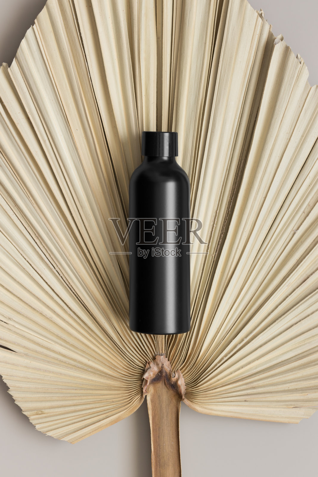 米色桌子上的黑色洗液瓶模型和一片棕榈叶。照片摄影图片