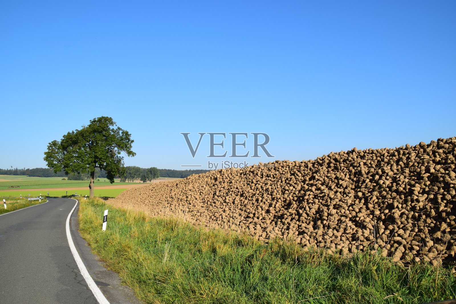 秋天的乡间小路照片摄影图片