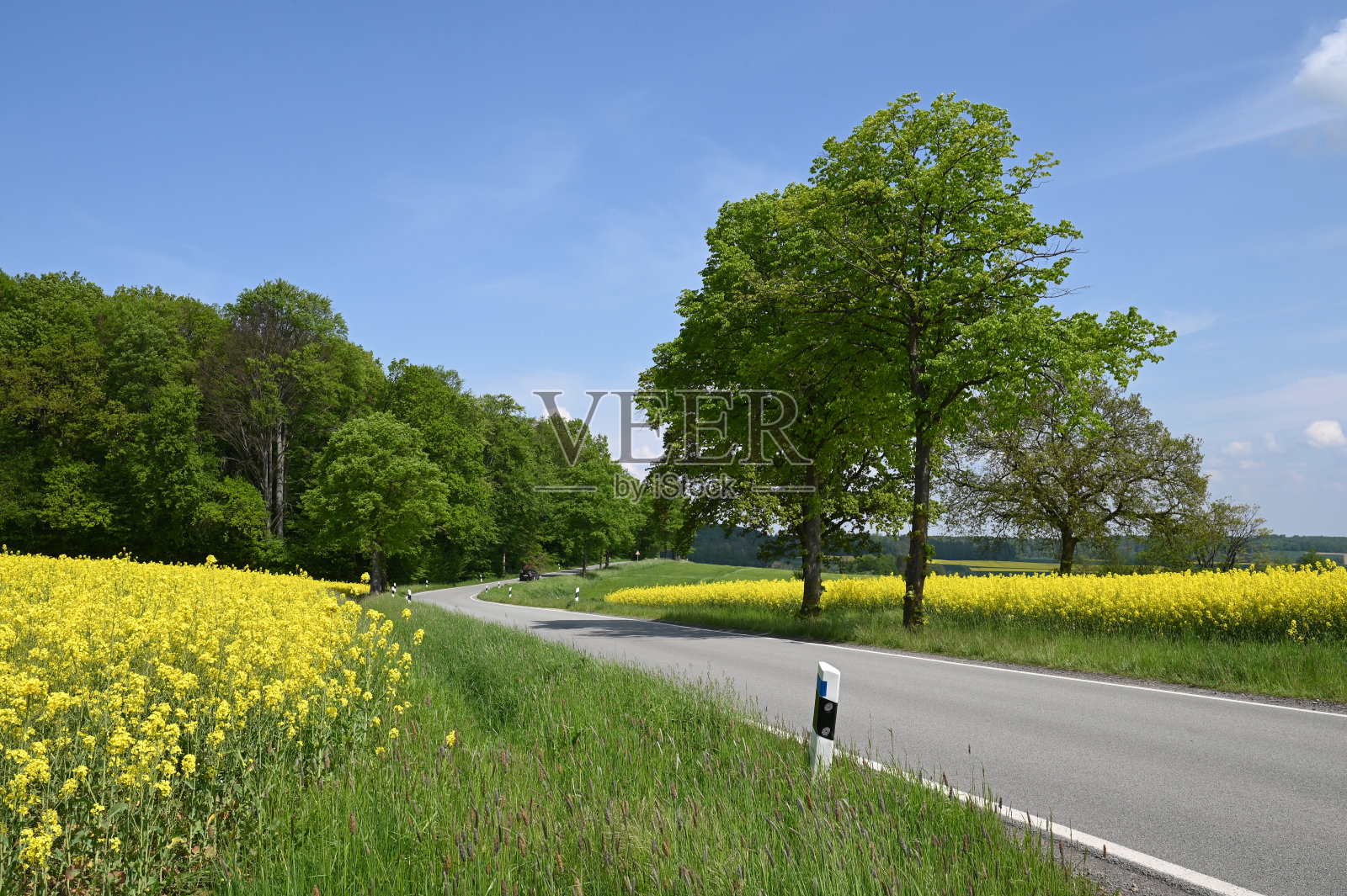 春天的乡间小路照片摄影图片
