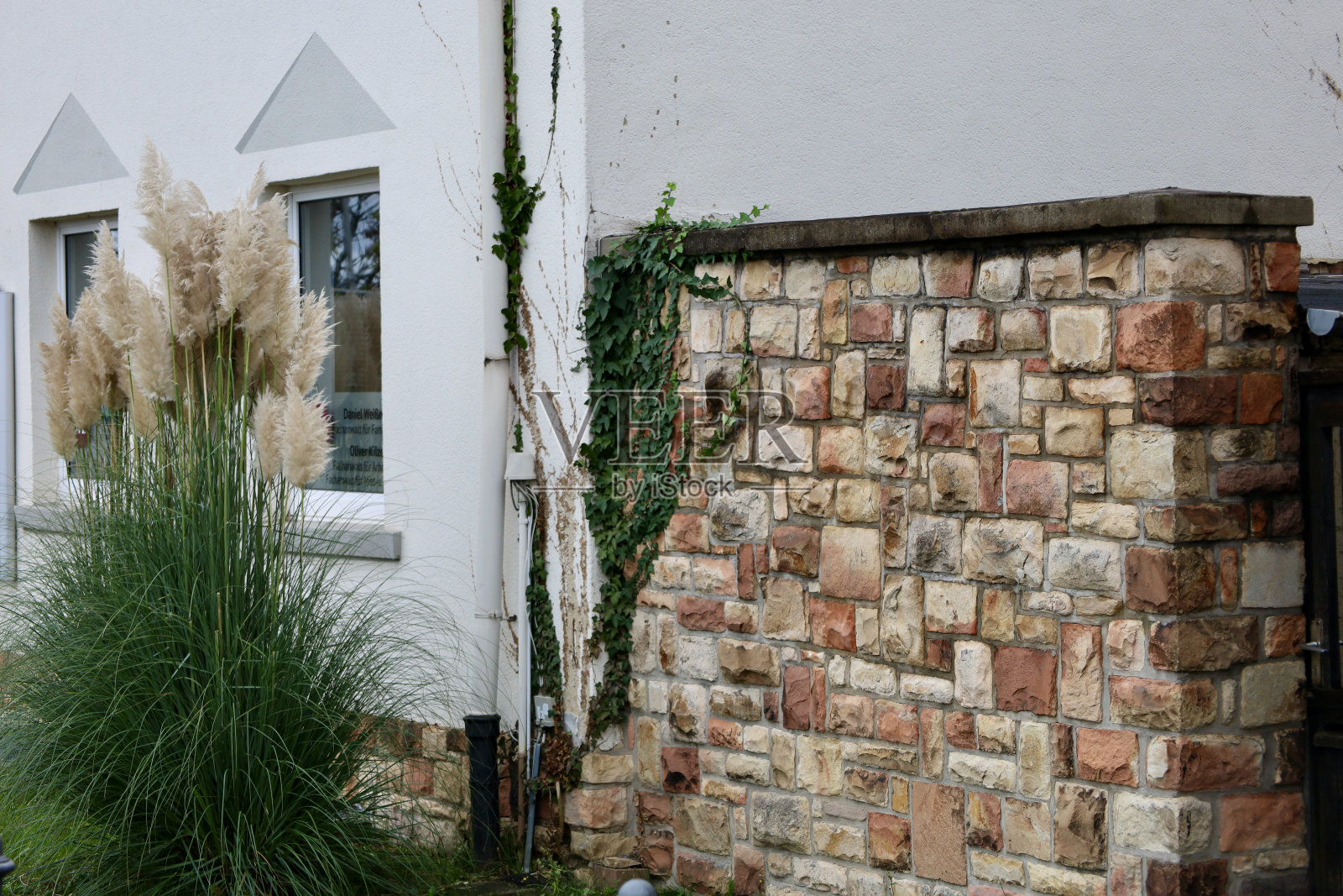 一堵有灌木丛的墙照片摄影图片