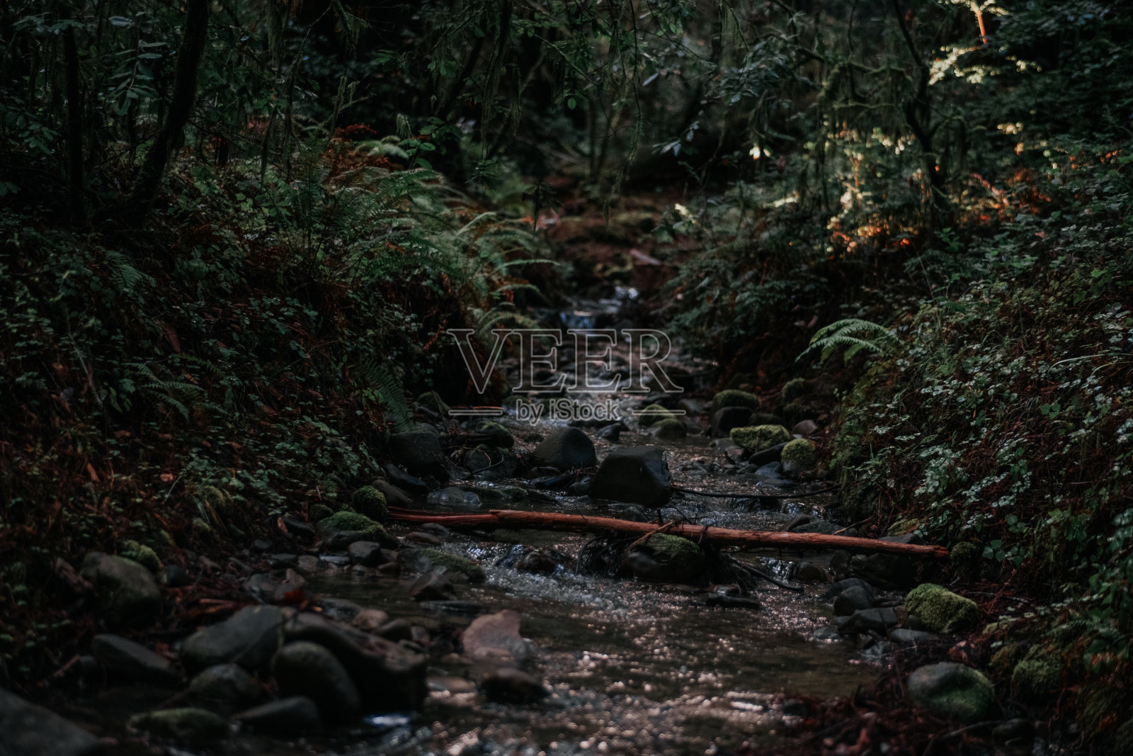 A Way Across #1照片摄影图片