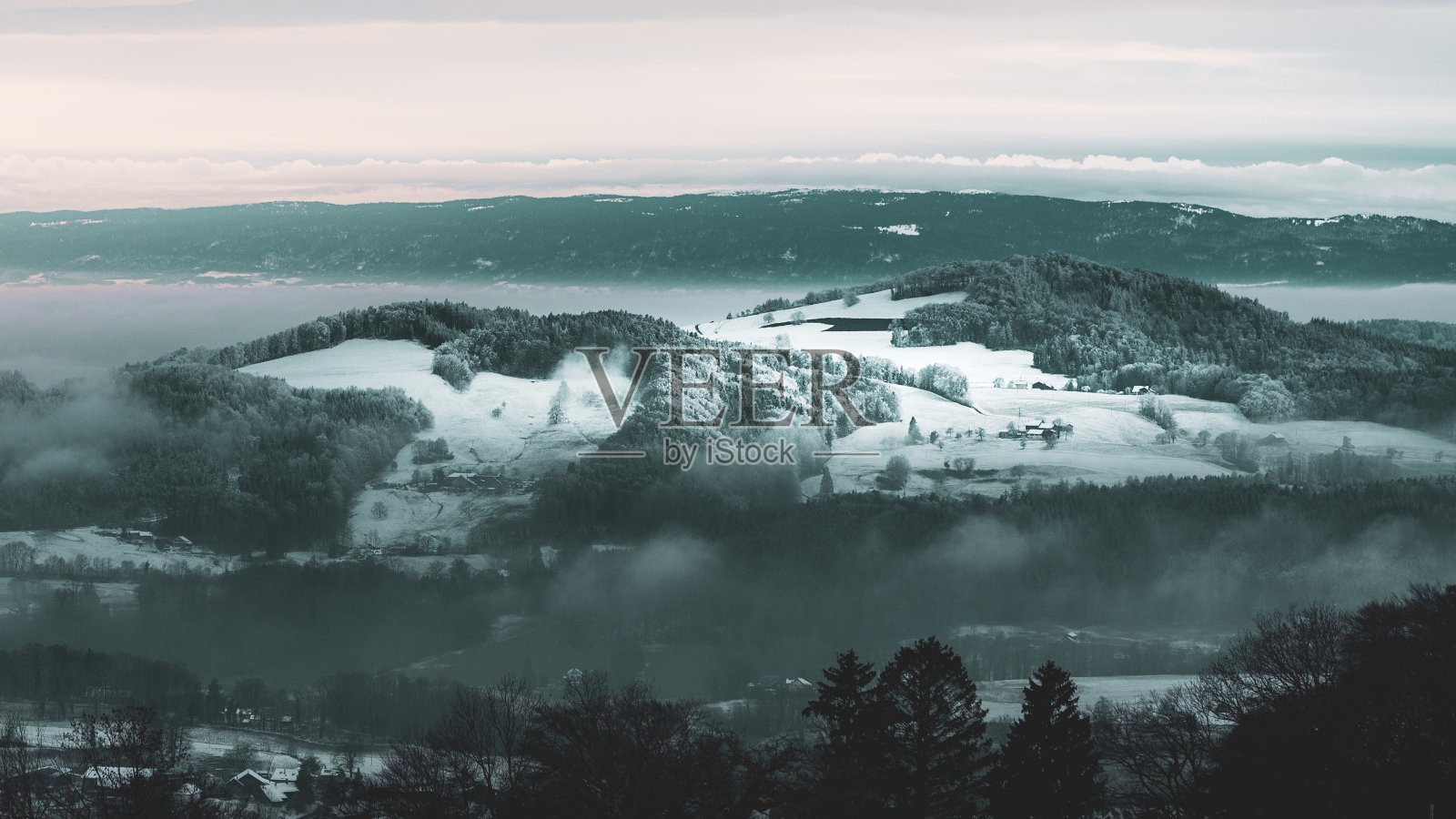 瑞士阿尔卑斯山佩尔兰山的黑暗氛围，树木中充满雪、薄雾和雾气，温度较低照片摄影图片