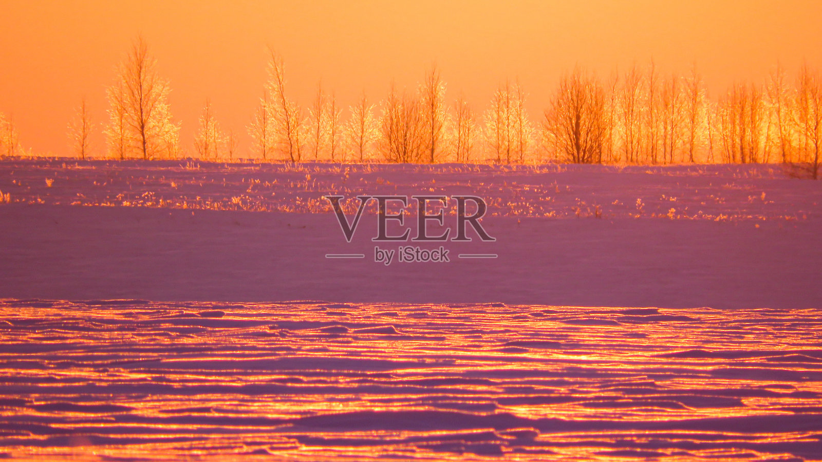 日落时被雪覆盖的冰冻草地照片摄影图片