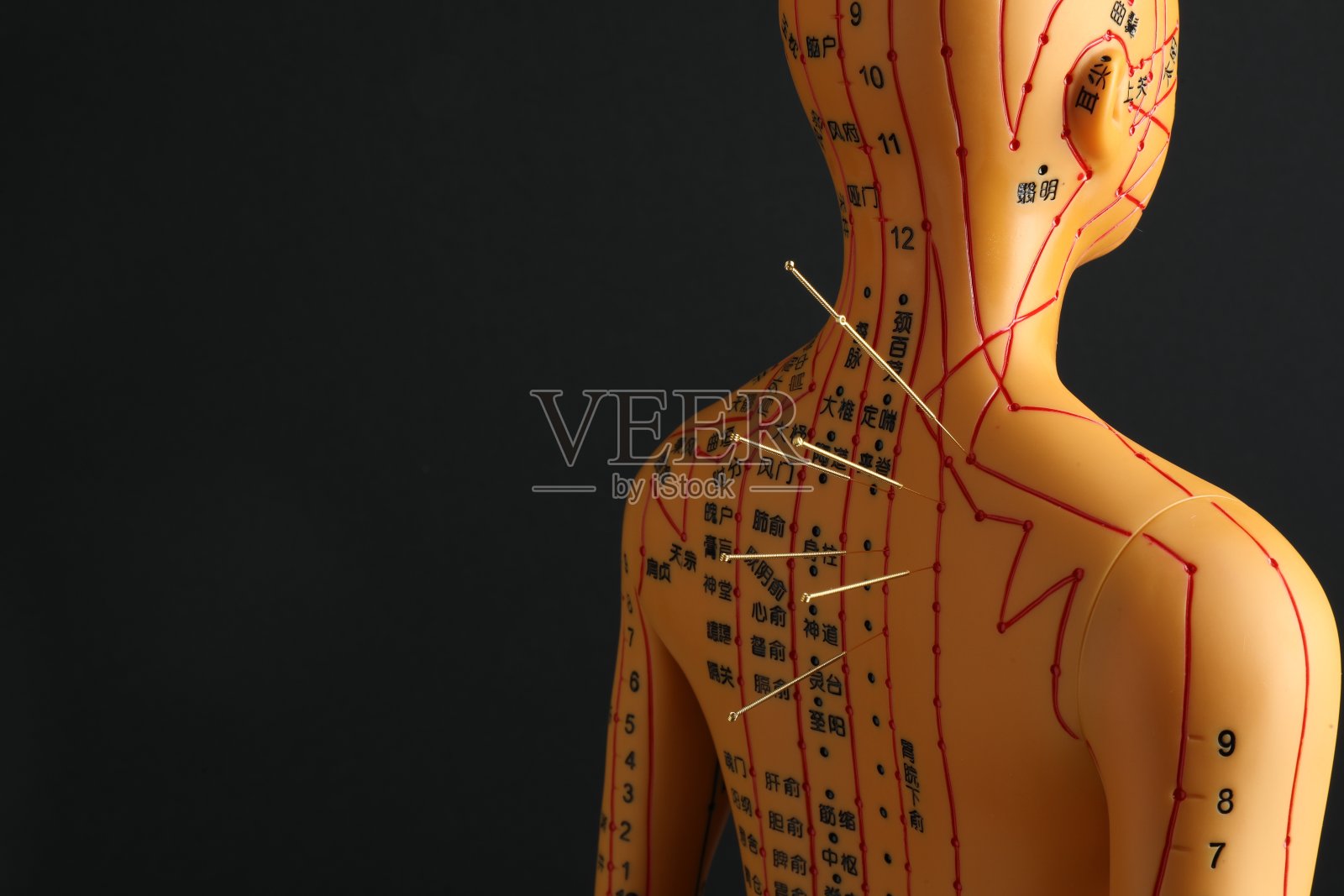 针灸——替代医学。人体模型与针在背后黑色背景，文字的空间照片摄影图片