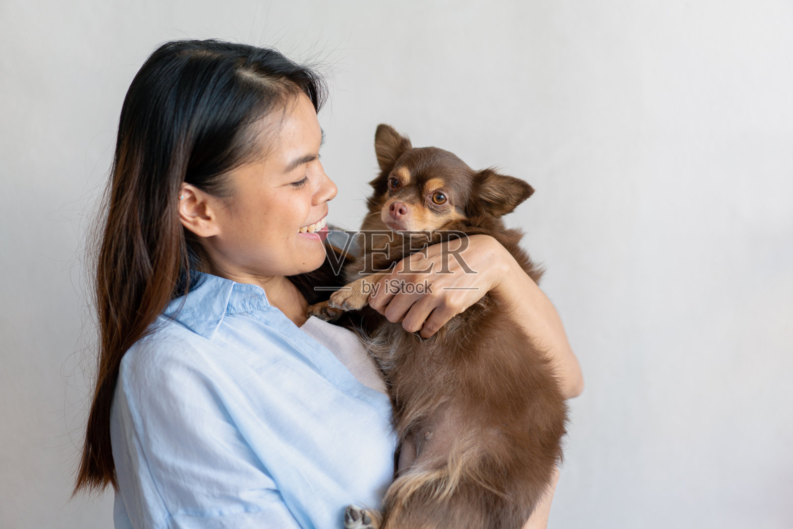 秋天的一天，快乐健康的女人坐在客厅里和可爱的狗狗玩耍，友谊和对宠物的爱。照片摄影图片