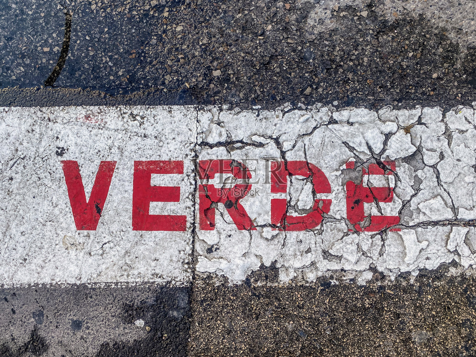 绿色照片摄影图片