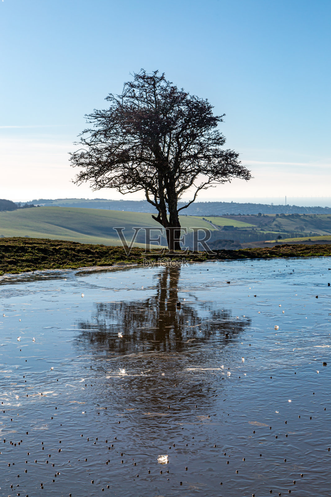南唐斯沟渠灯塔上的一个露水池塘，在一个阳光明媚但寒冷的一月早晨被冻住了照片摄影图片
