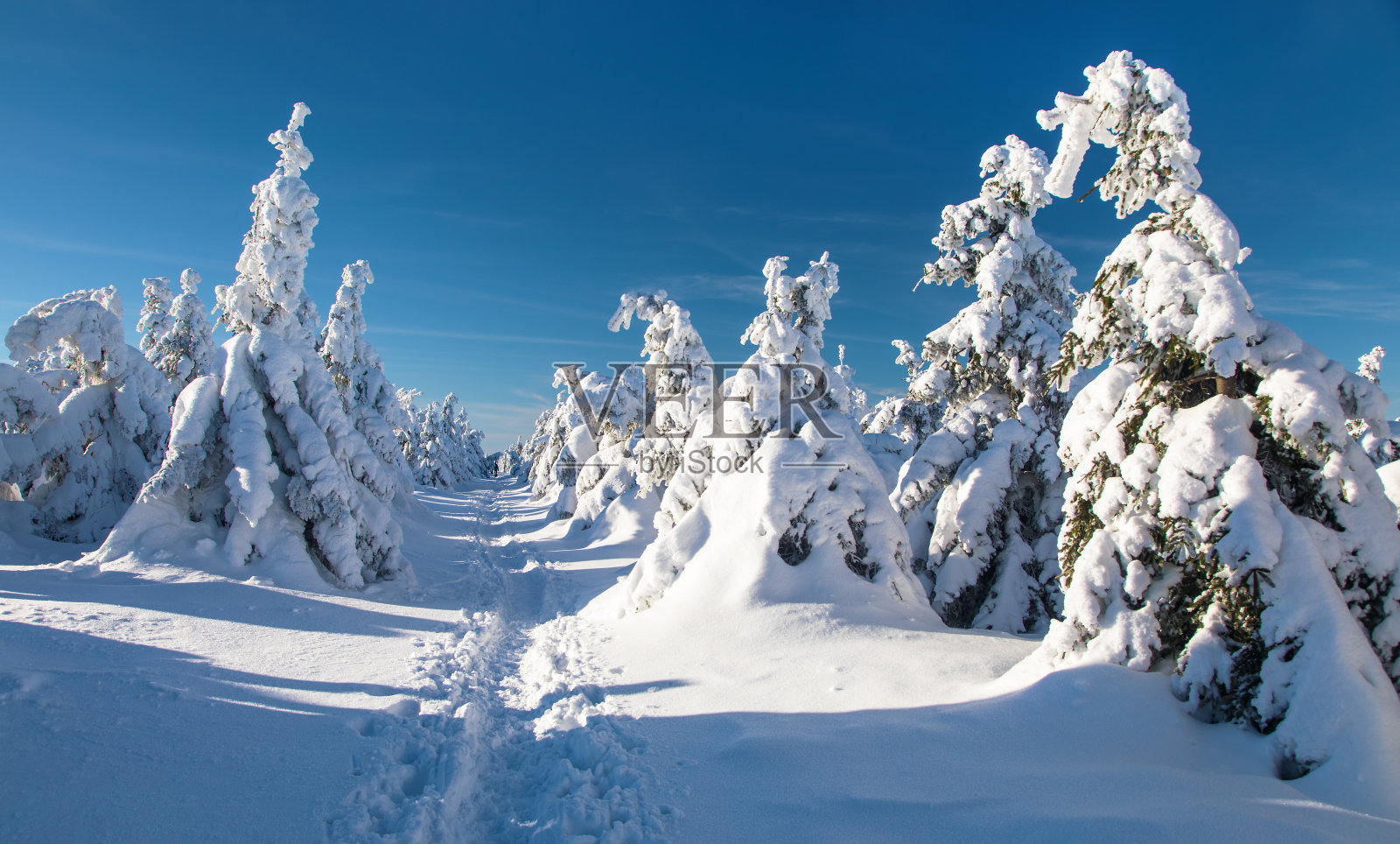 冬季景观观冰雪覆盖的森林和小路照片摄影图片