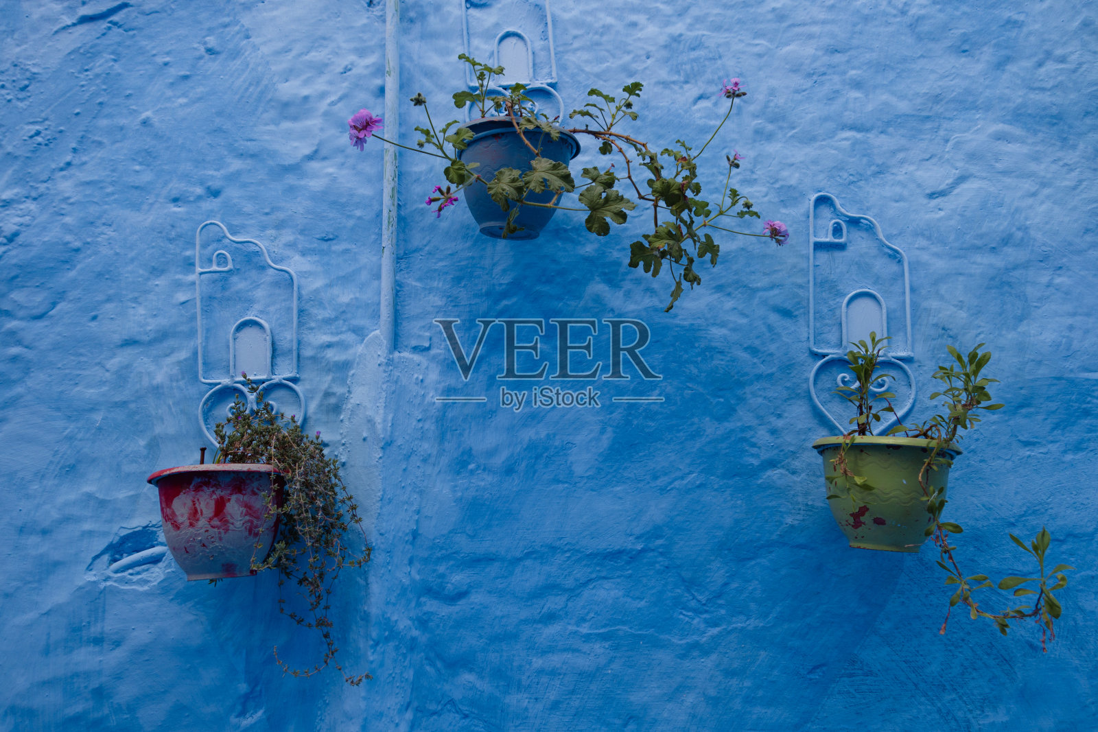摩洛哥舍夫沙万的蓝色墙上挂着花盆照片摄影图片