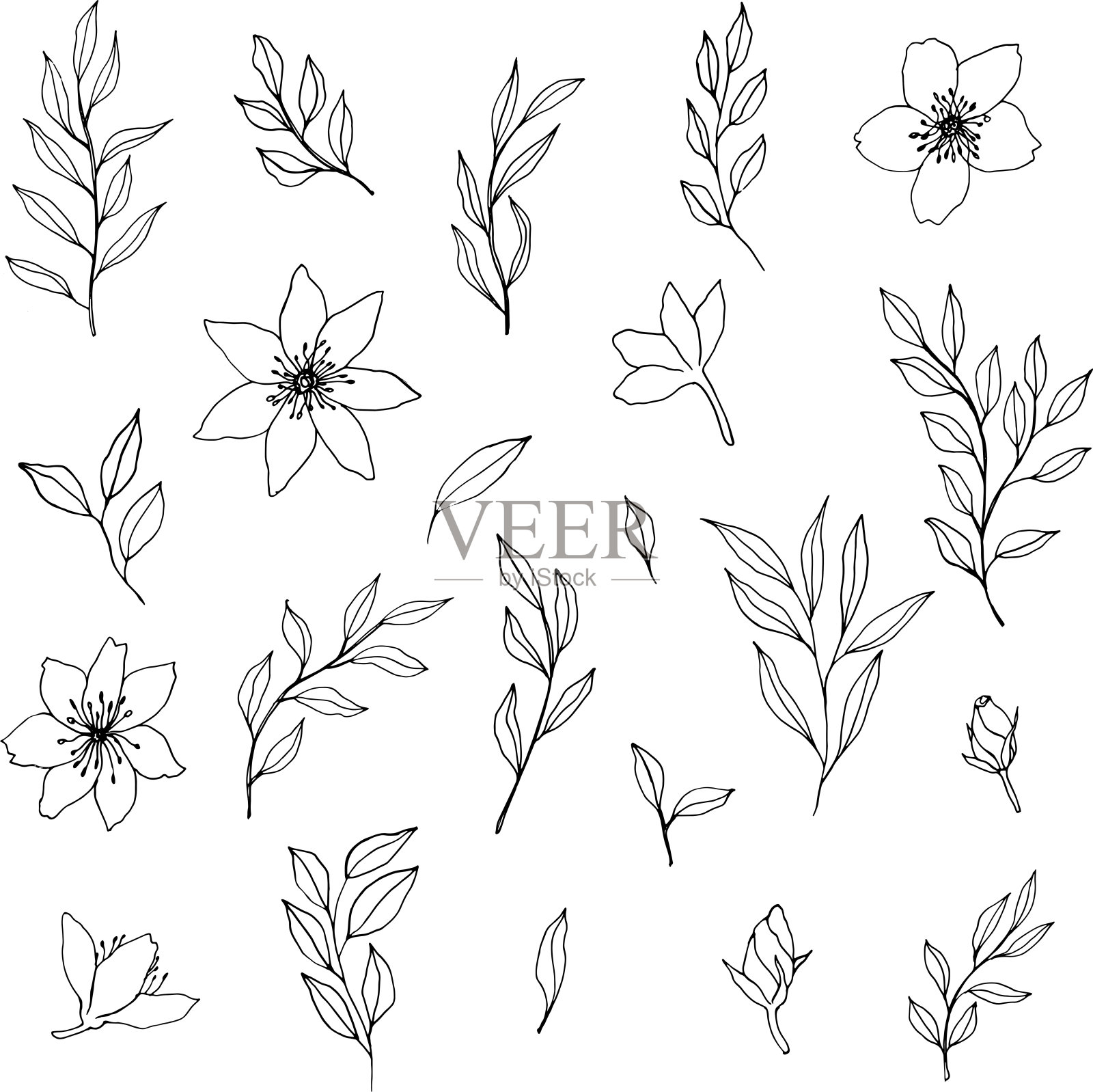 矢量轮廓枝，叶和花集合。水墨手绘优雅的单色植物插图为背景。轮廓没有颜色填充。模板的婚礼，标志，纹身插画图片素材