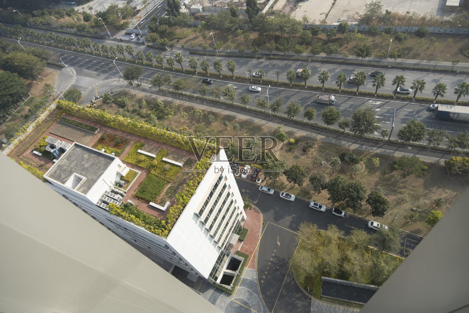 城市办公楼屋顶上的绿色植物和美丽的景色照片摄影图片