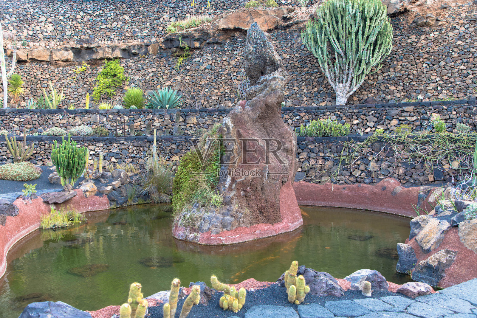 西班牙加那利群岛兰萨罗特岛瓜蒂萨村著名的仙人掌花园照片摄影图片