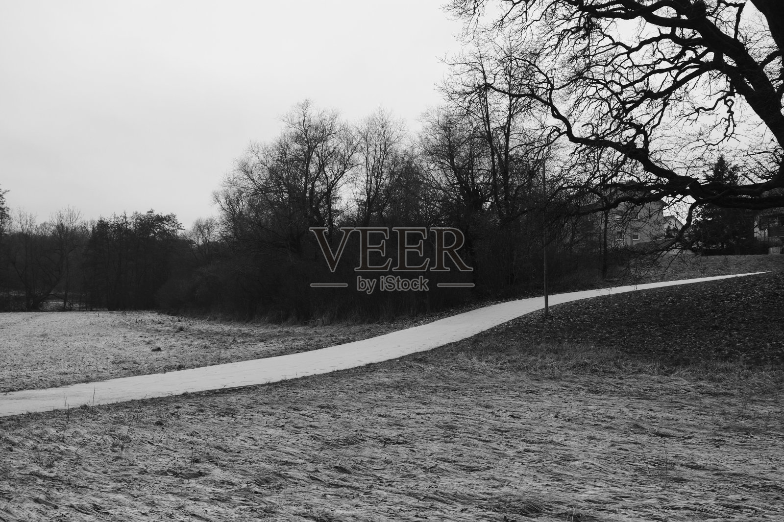 一个路径照片摄影图片