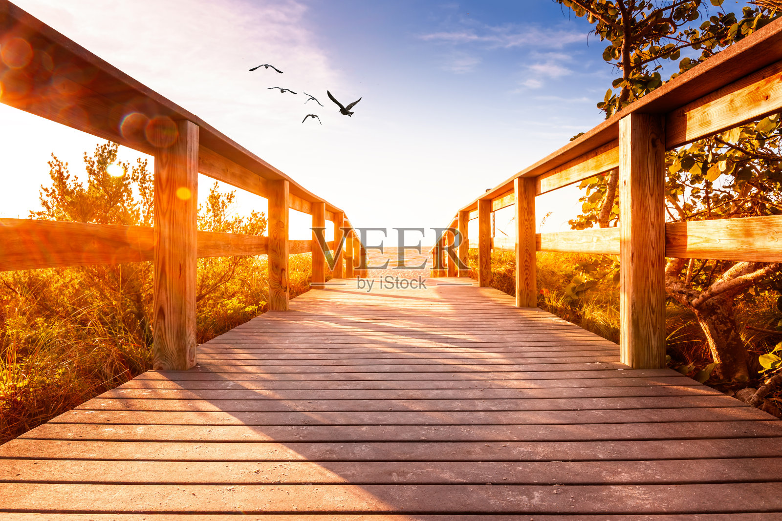 通往美国佛罗里达州Sanibel岛海滩的木板路照片摄影图片