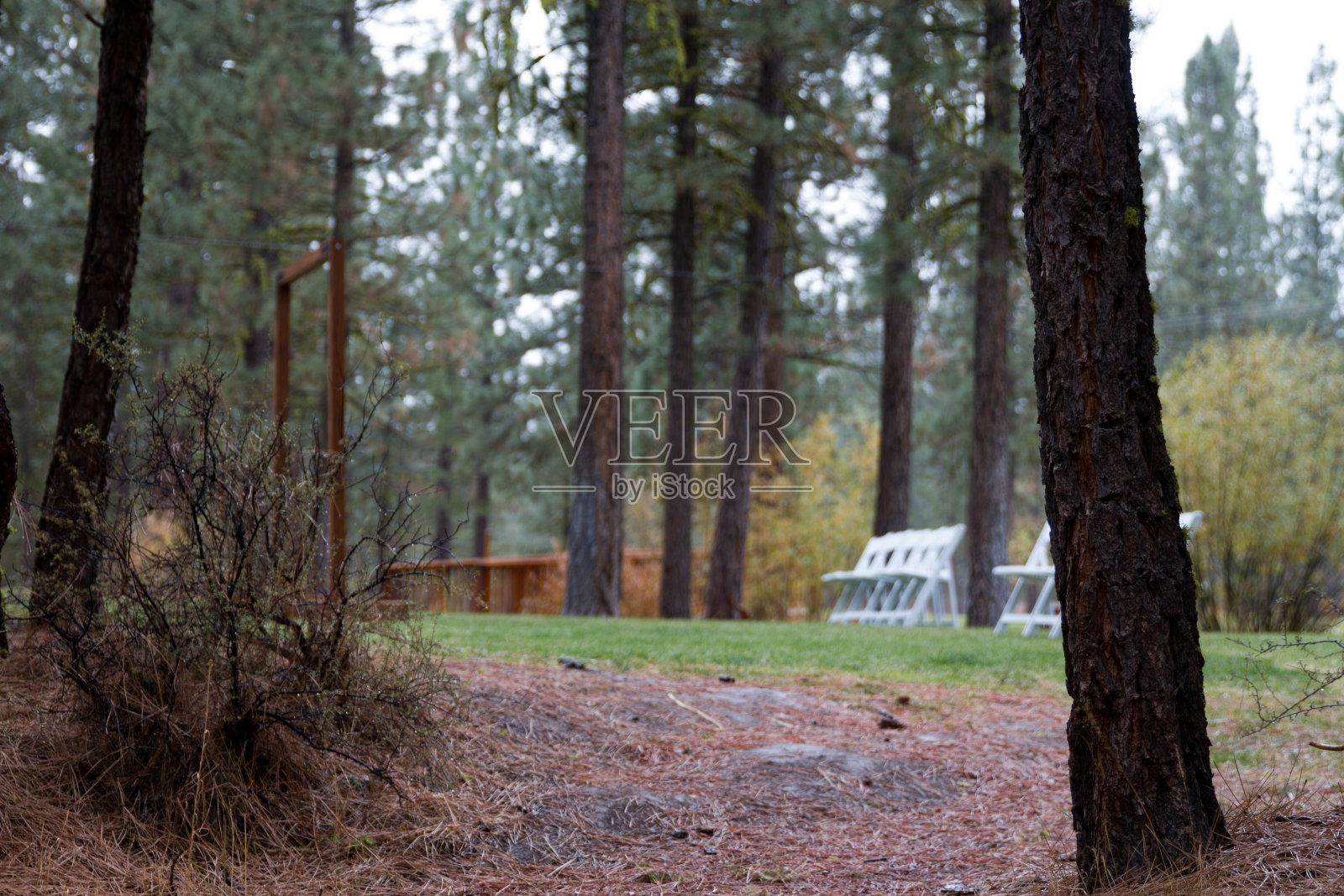 丛林婚礼场景照片摄影图片