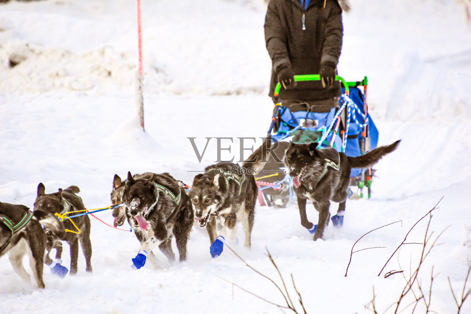 决心跑完前面的比赛照片摄影图片