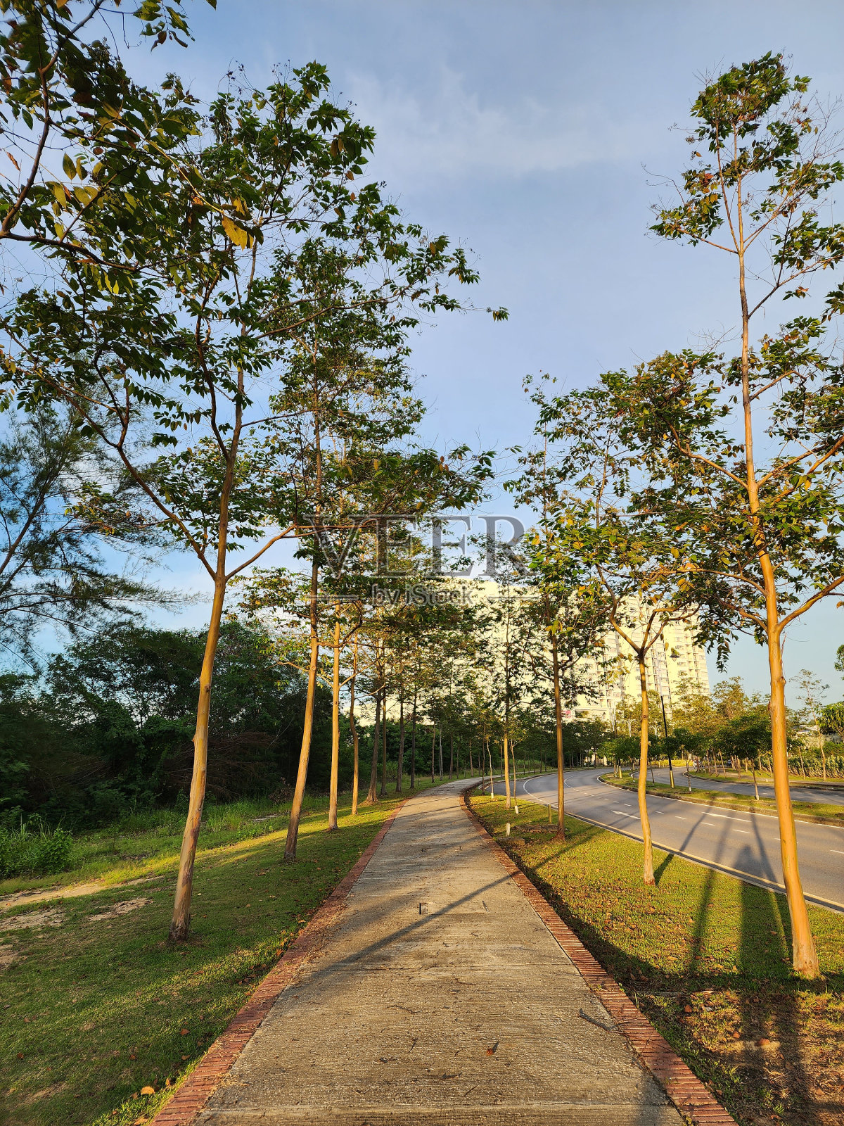 奇妙公园巷照片摄影图片