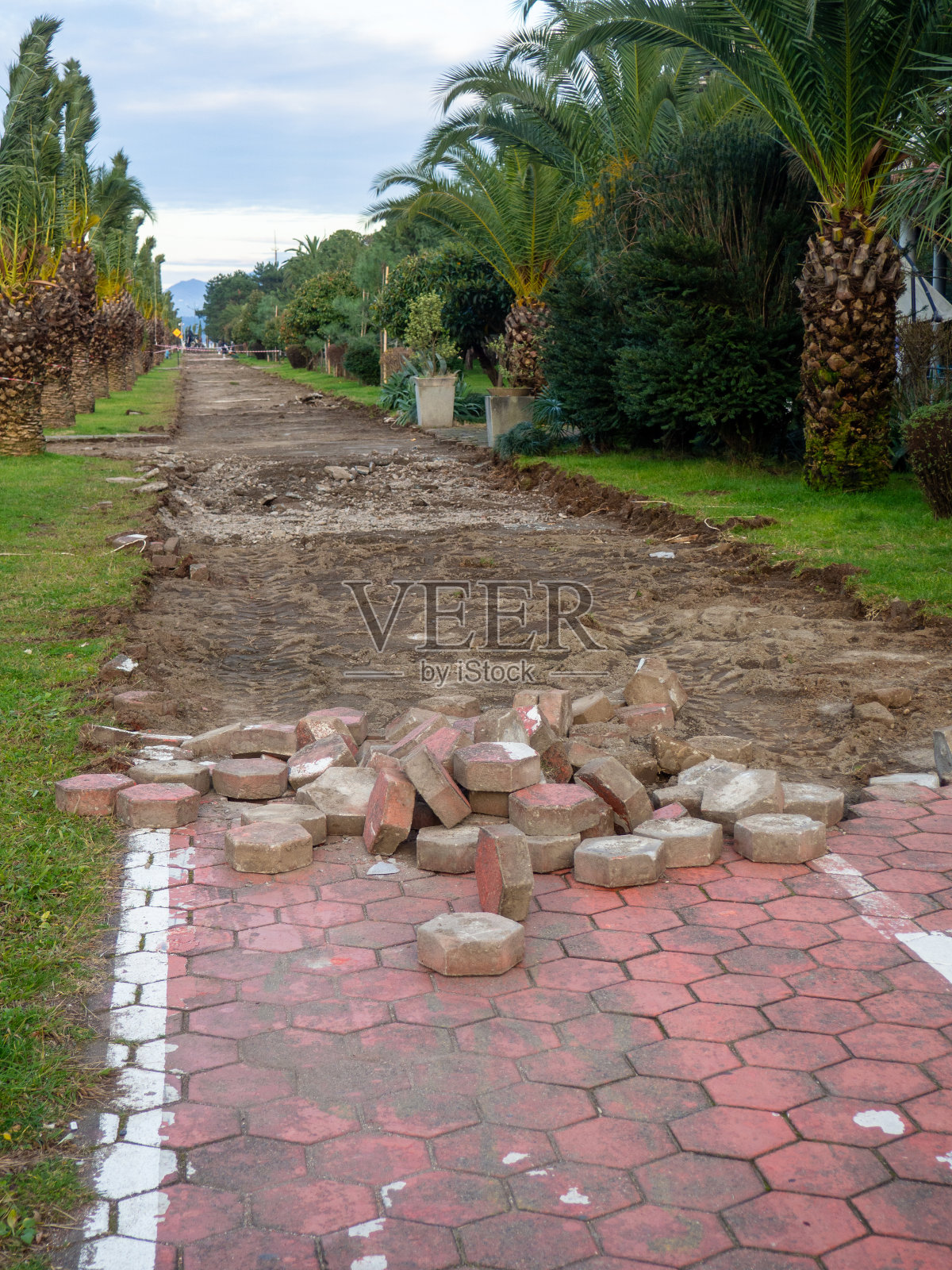 重建自行车道。在棕榈树间的自行车道上更换瓷砖。照片摄影图片