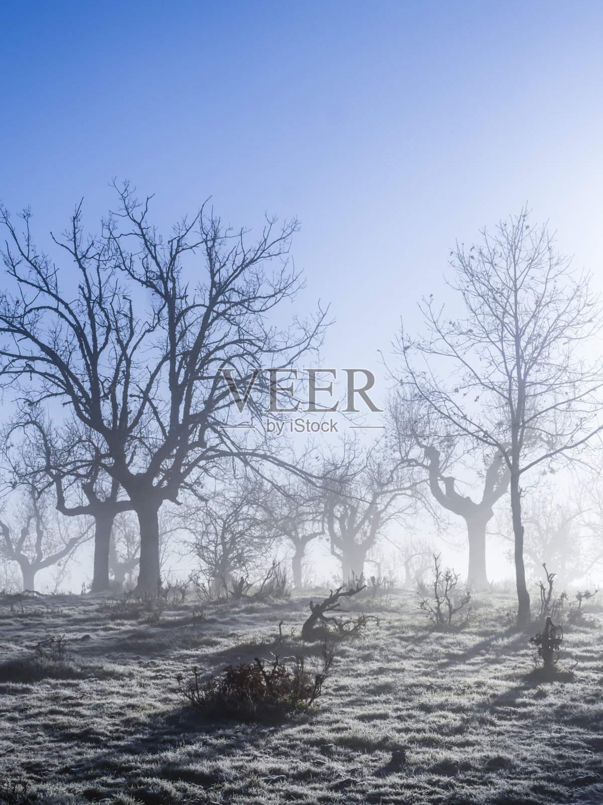 雾霭中的日出照片摄影图片