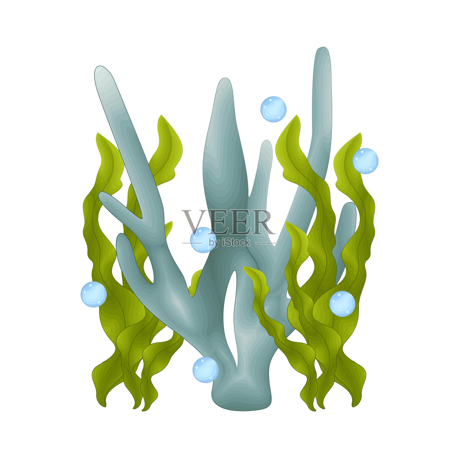 珊瑚插画图片素材