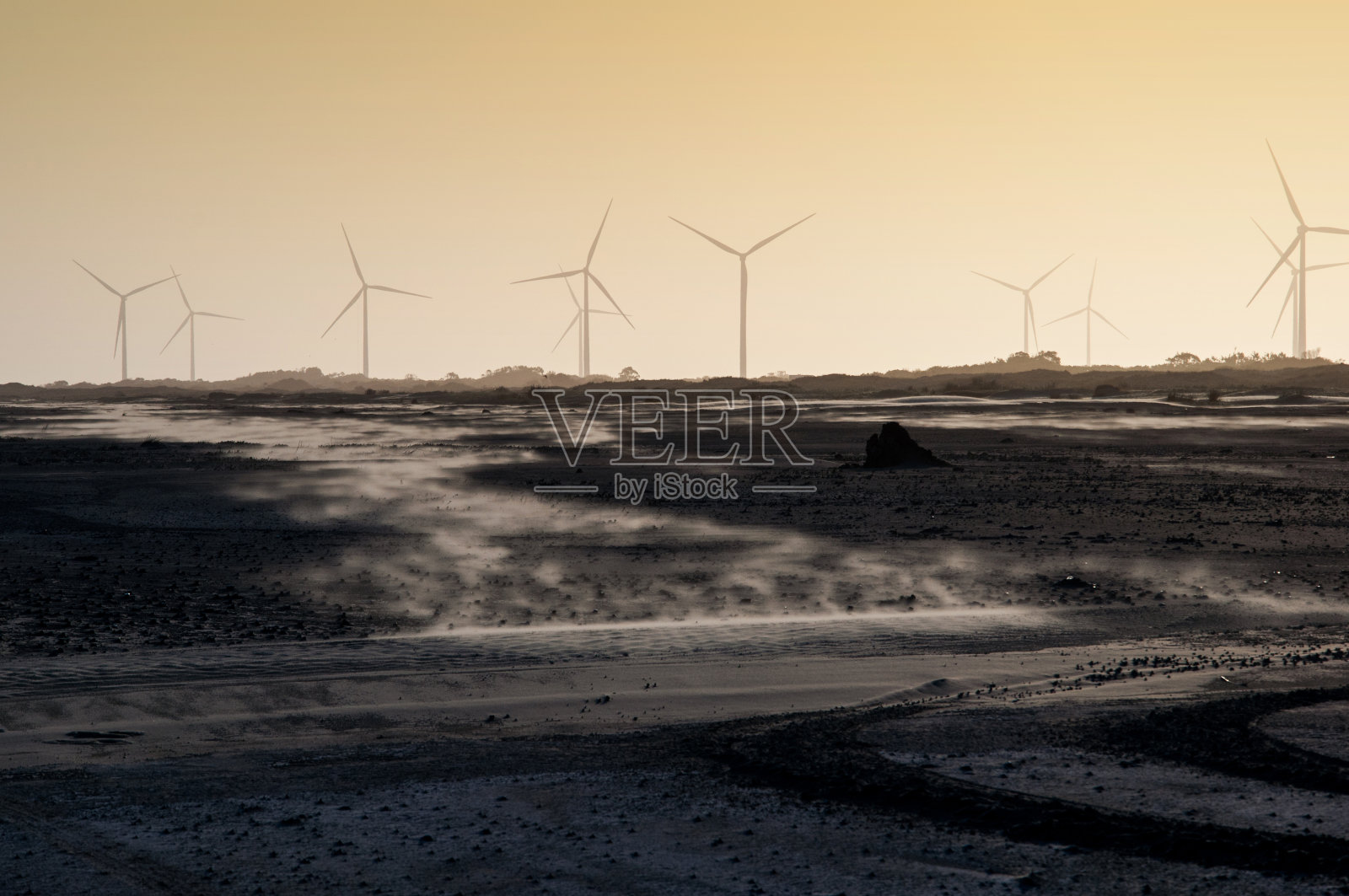 海边的风力涡轮机照片摄影图片
