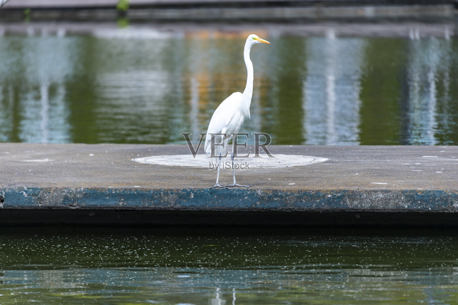 CHAPULTEPEC照片摄影图片