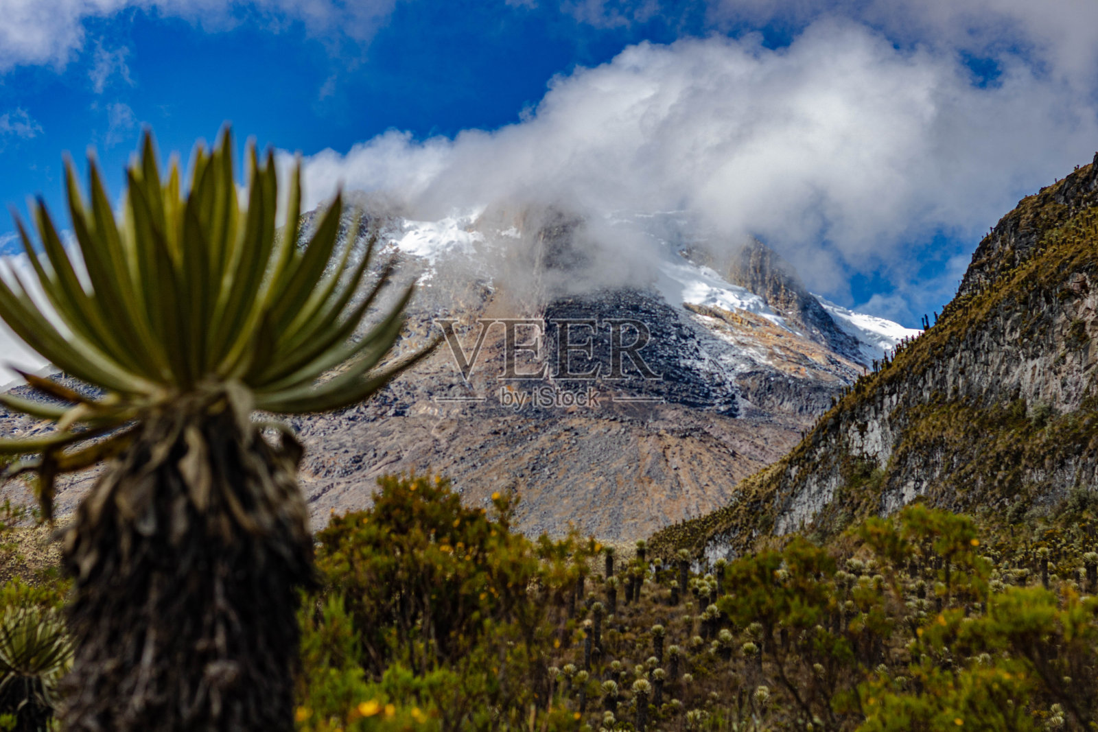 美丽的风景雪山之间脆弱的琼斯照片摄影图片