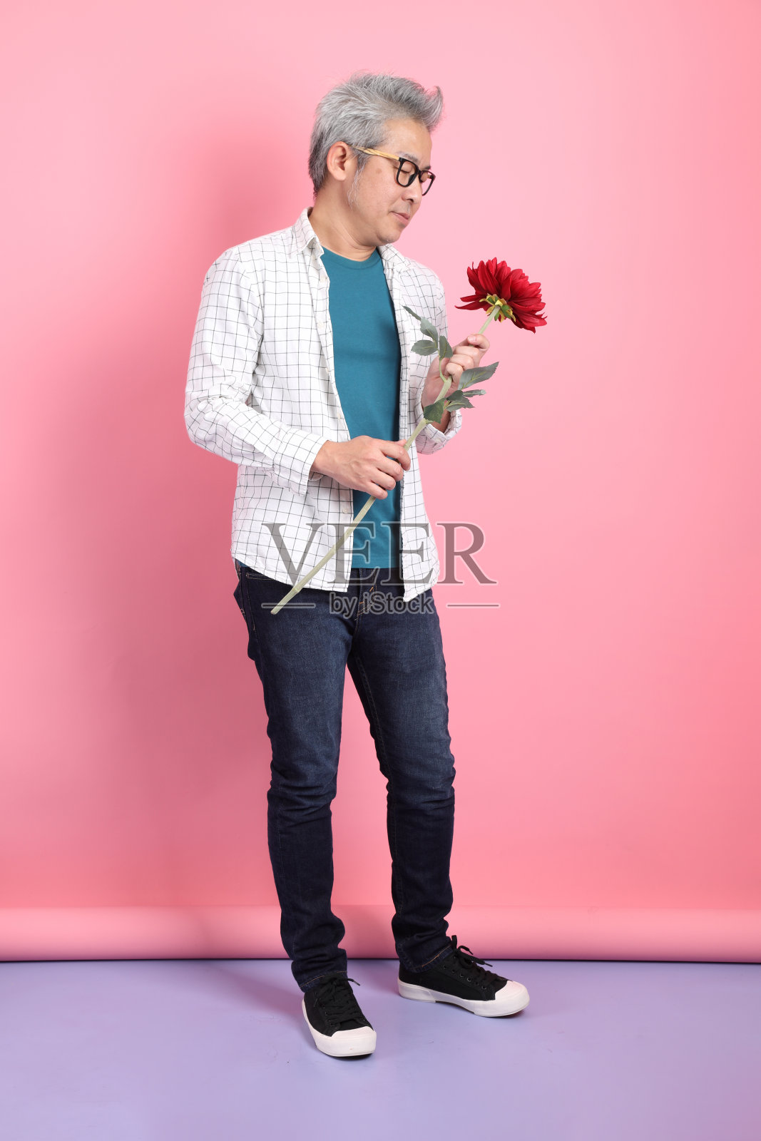 情人节照片摄影图片