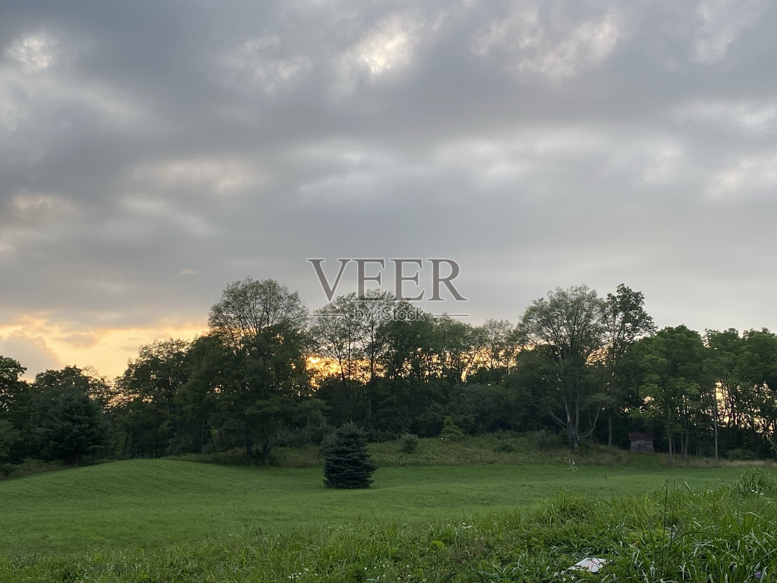 草地照片摄影图片